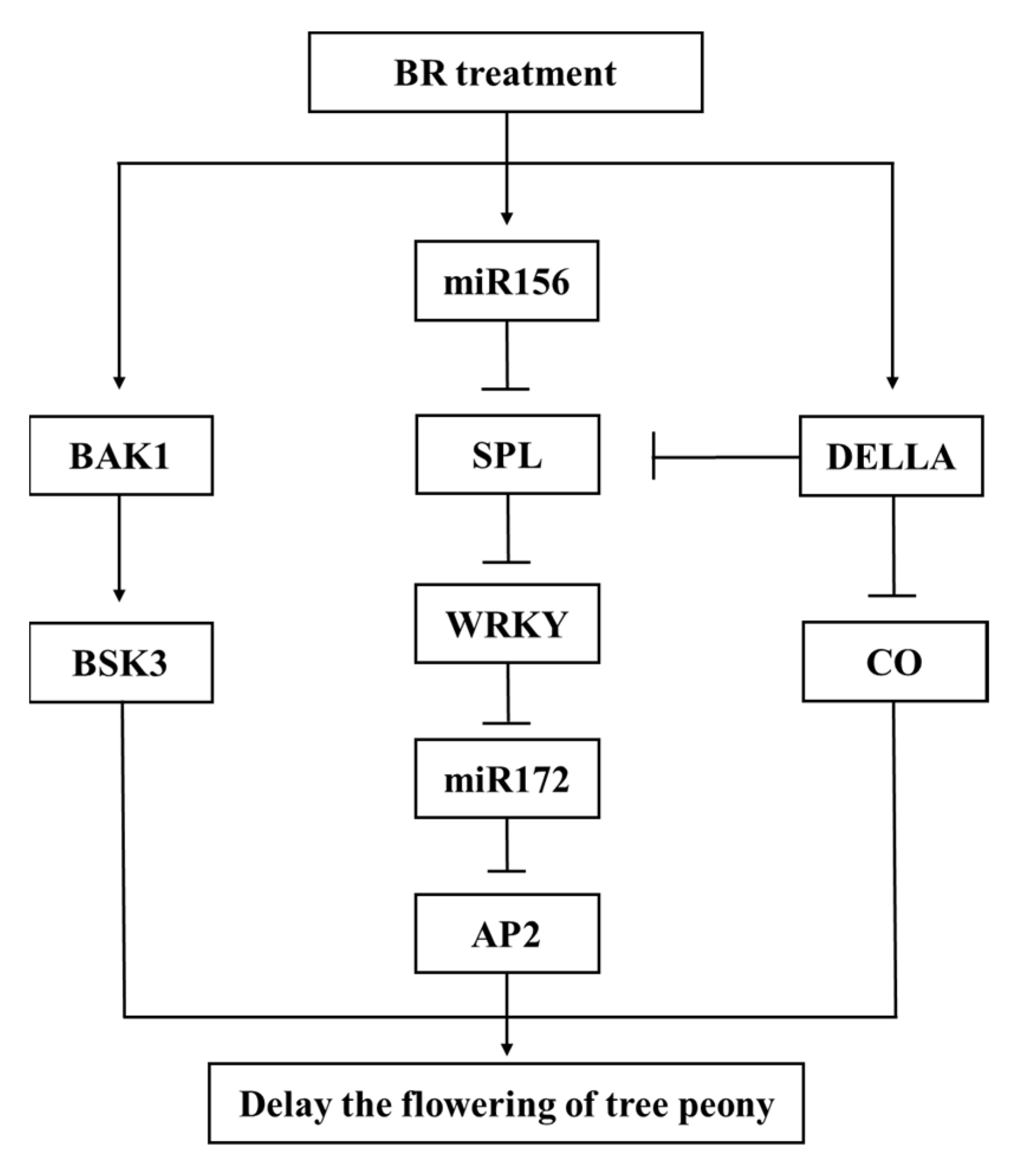 Horticulturae 08 01136 g009 Horticulturae 08 01136 g009