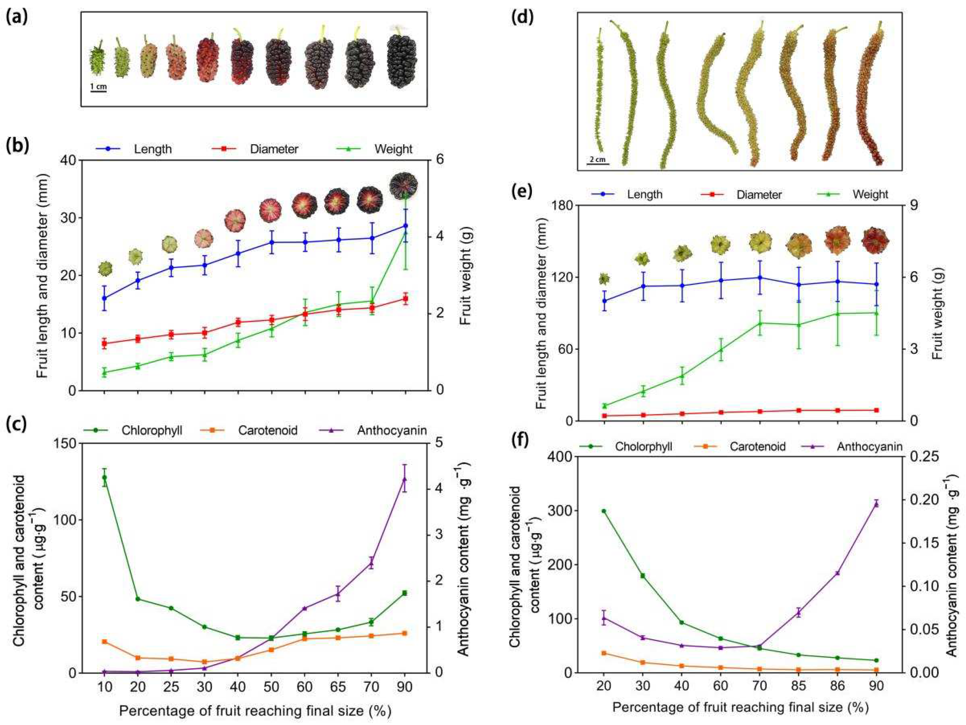 Horticulturae 08 01140 g008 Horticulturae 08 01140 g008