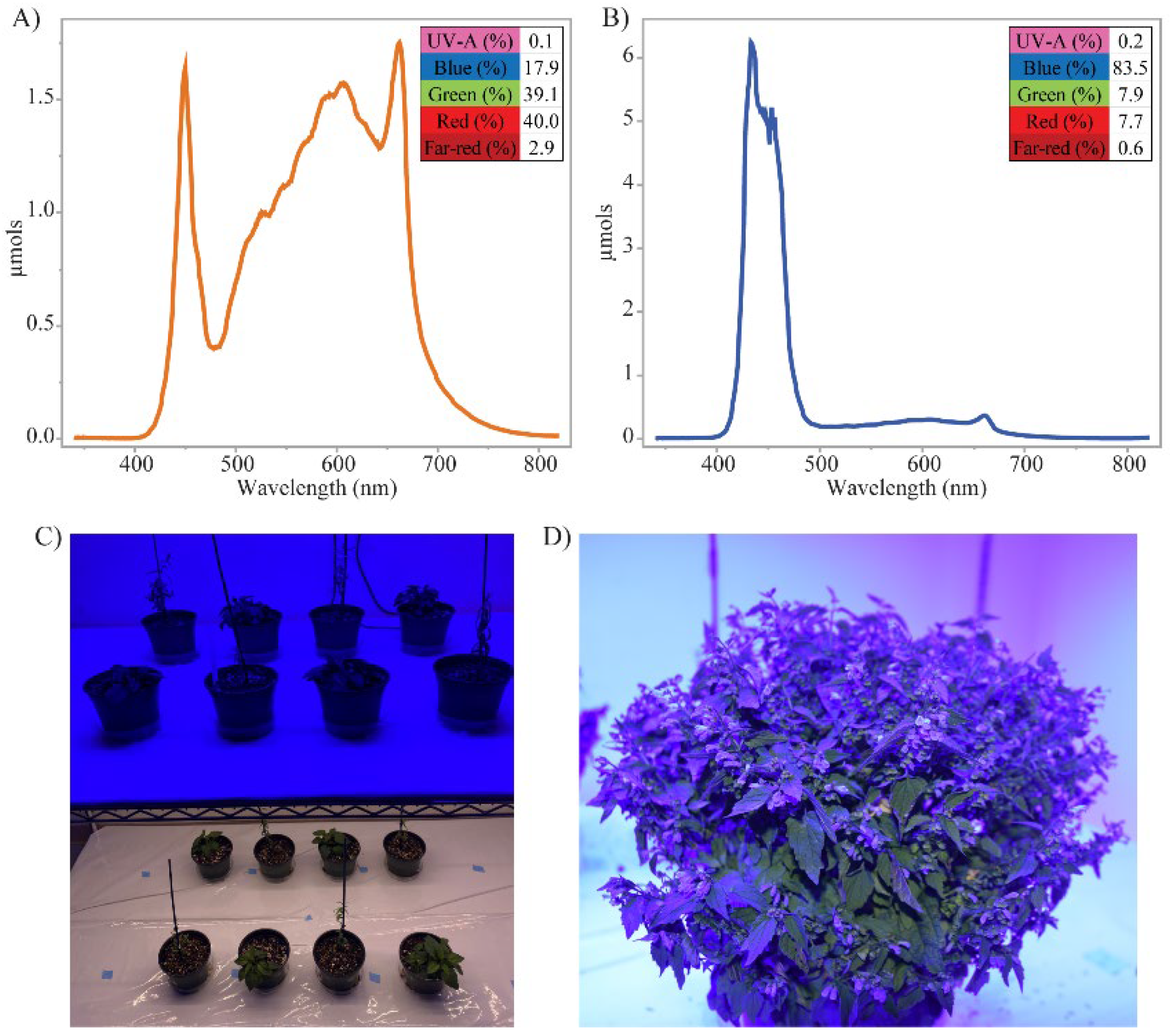 Horticulturae 08 01141 g002 Horticulturae 08 01141 g002