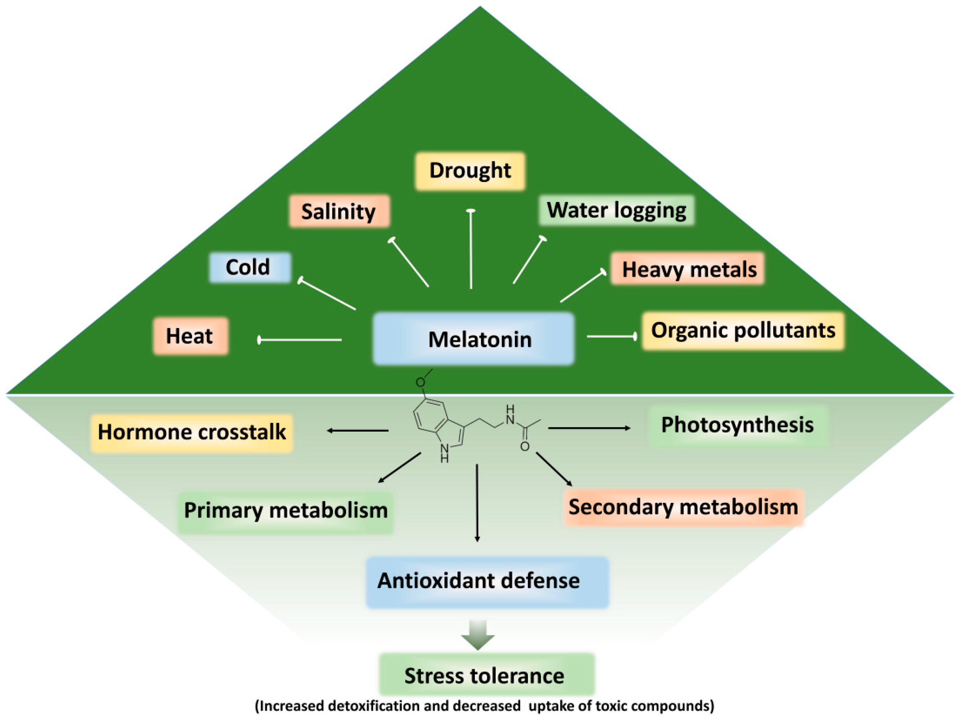 Horticulturae 08 01142 g004 Horticulturae 08 01142 g004