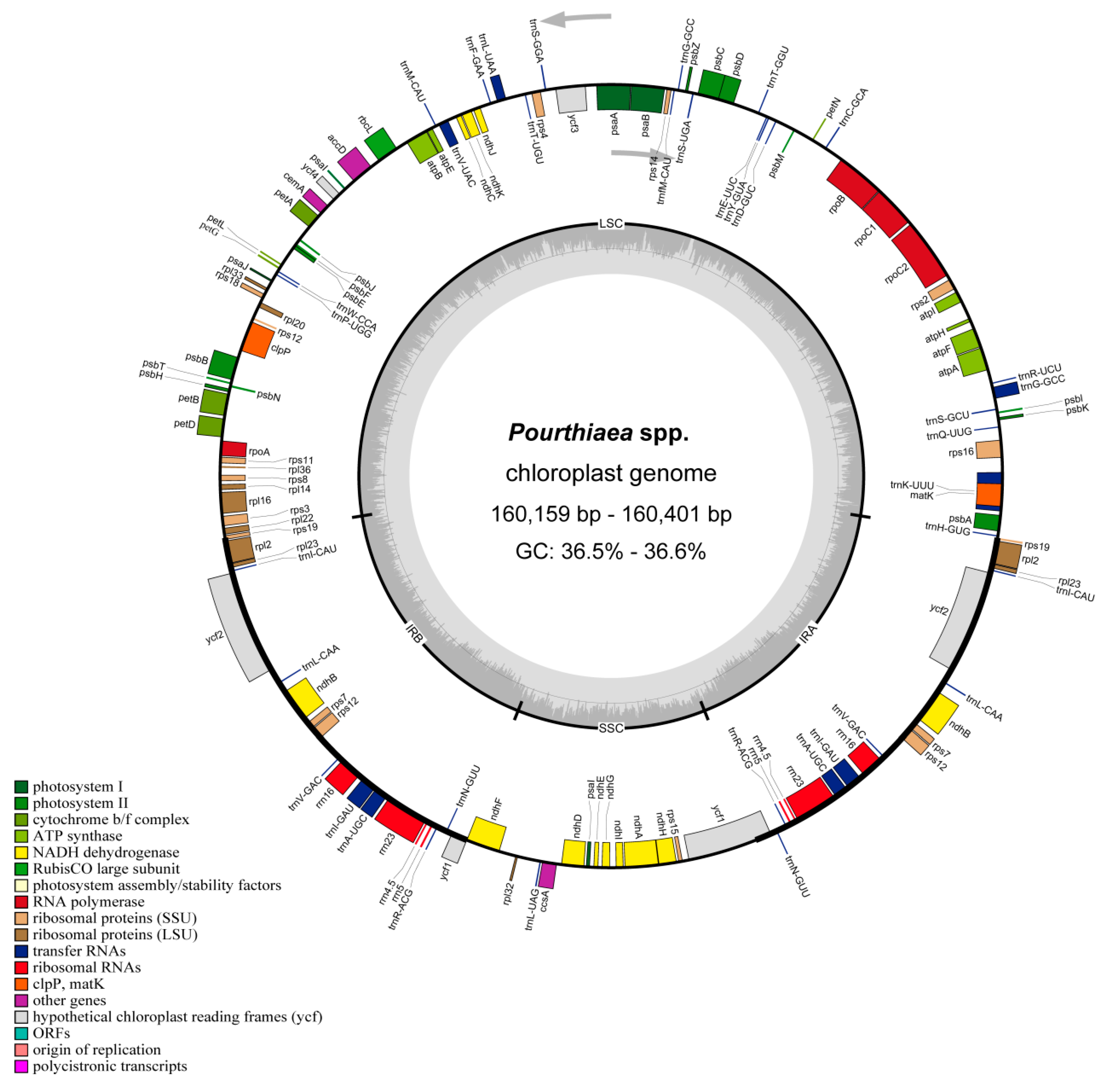 Horticulturae 08 01144 g001