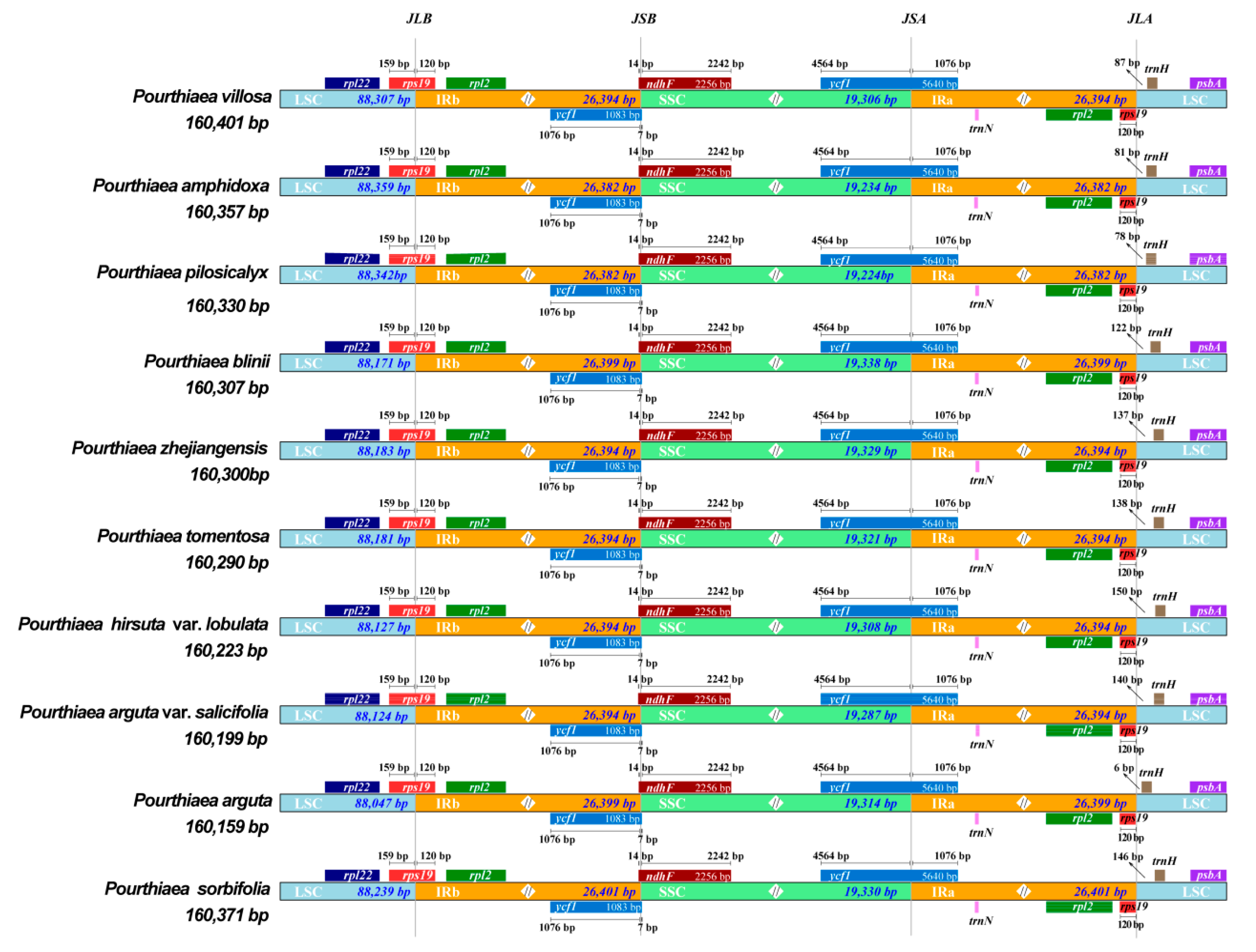 Horticulturae 08 01144 g003