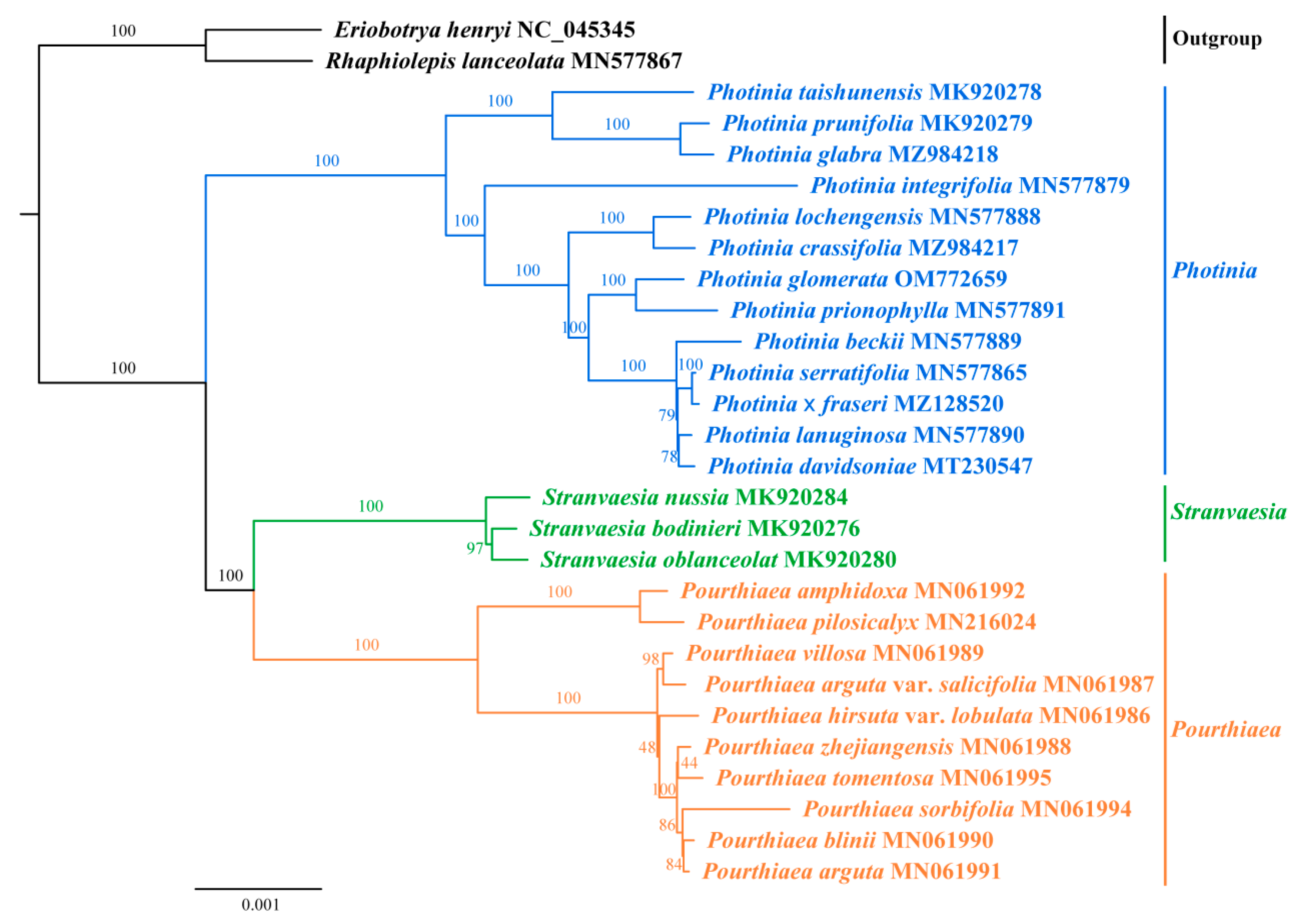 Horticulturae 08 01144 g006