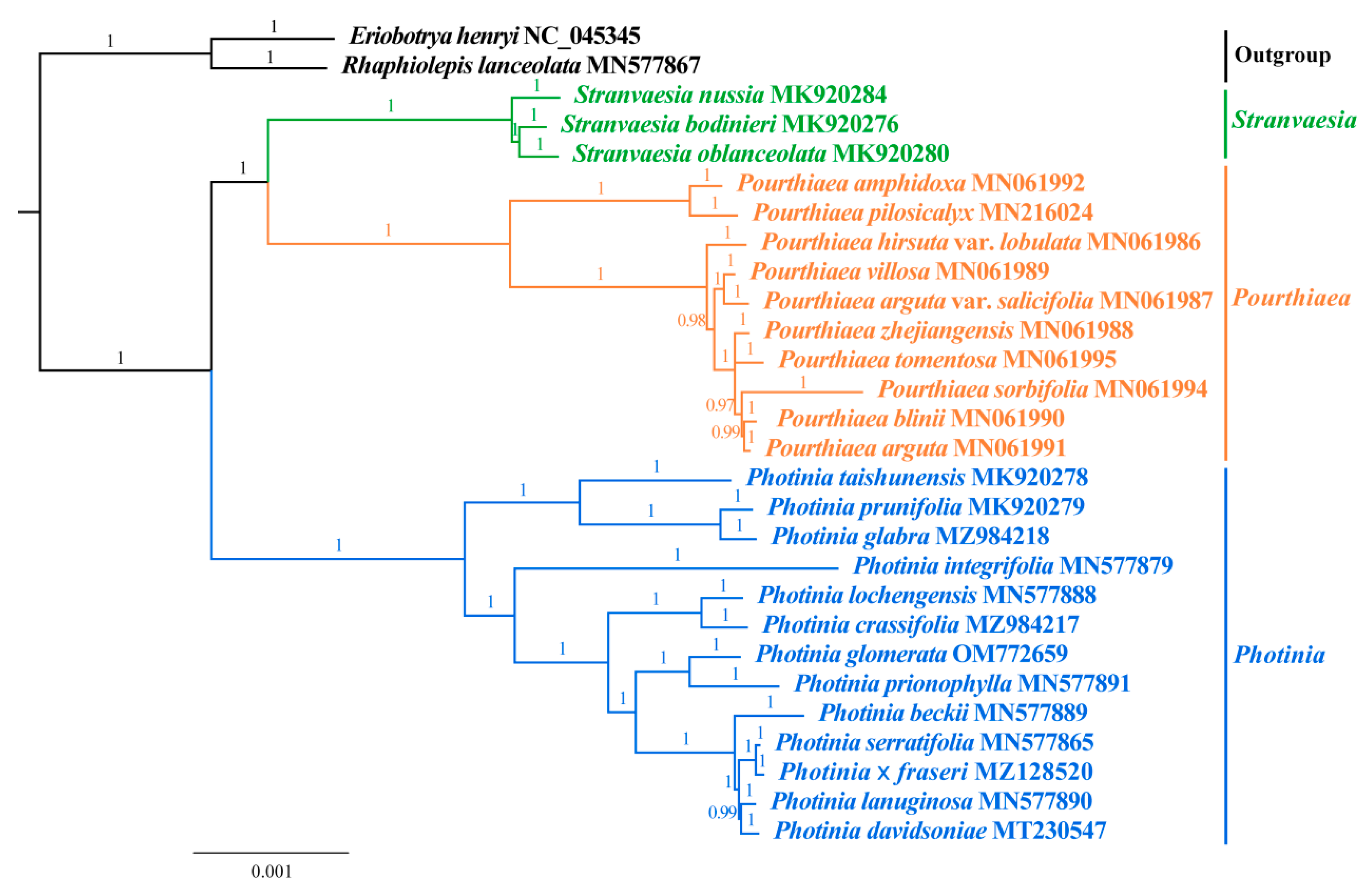 Horticulturae 08 01144 g007