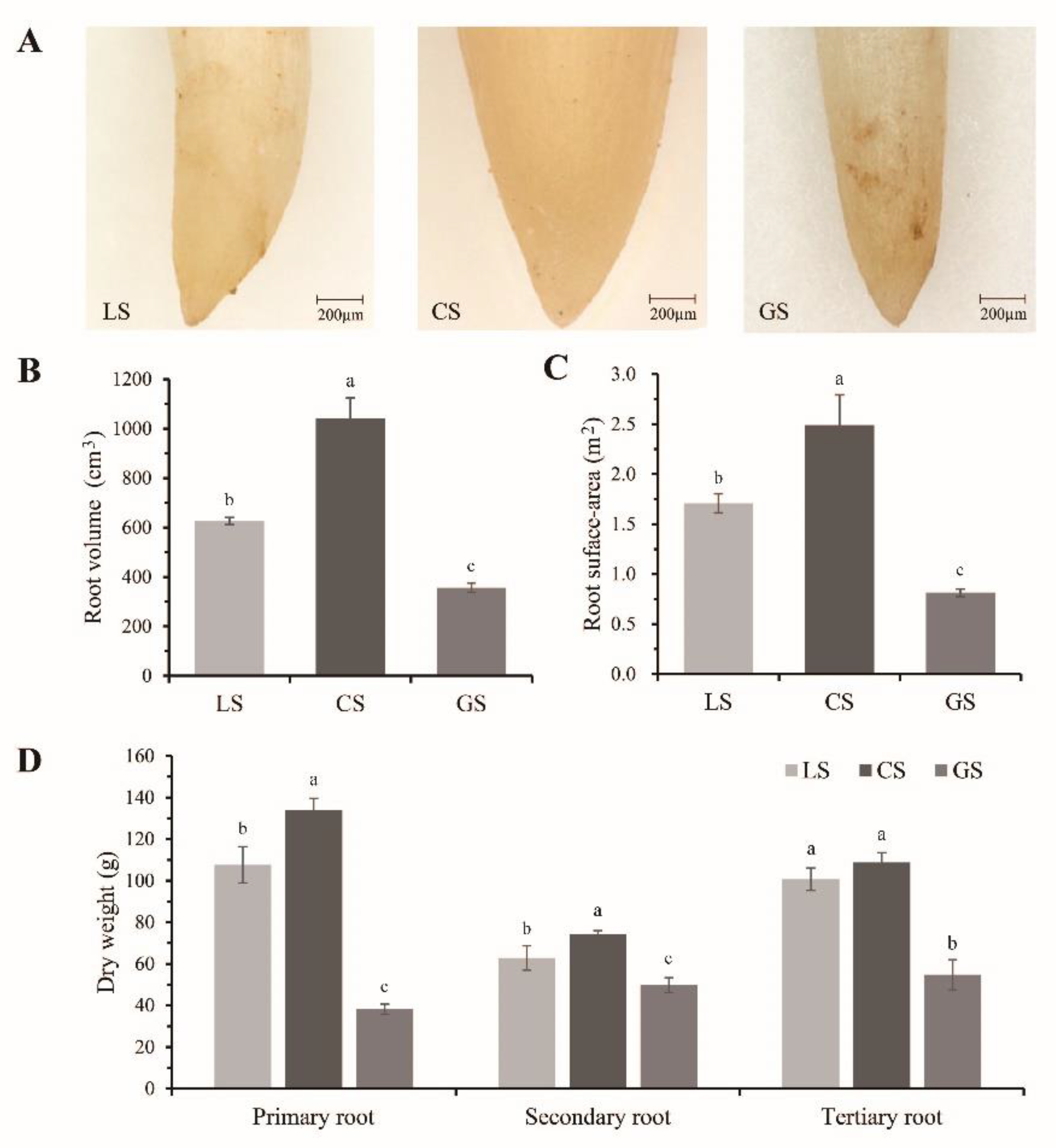 Horticulturae 08 01154 g002 Horticulturae 08 01154 g002