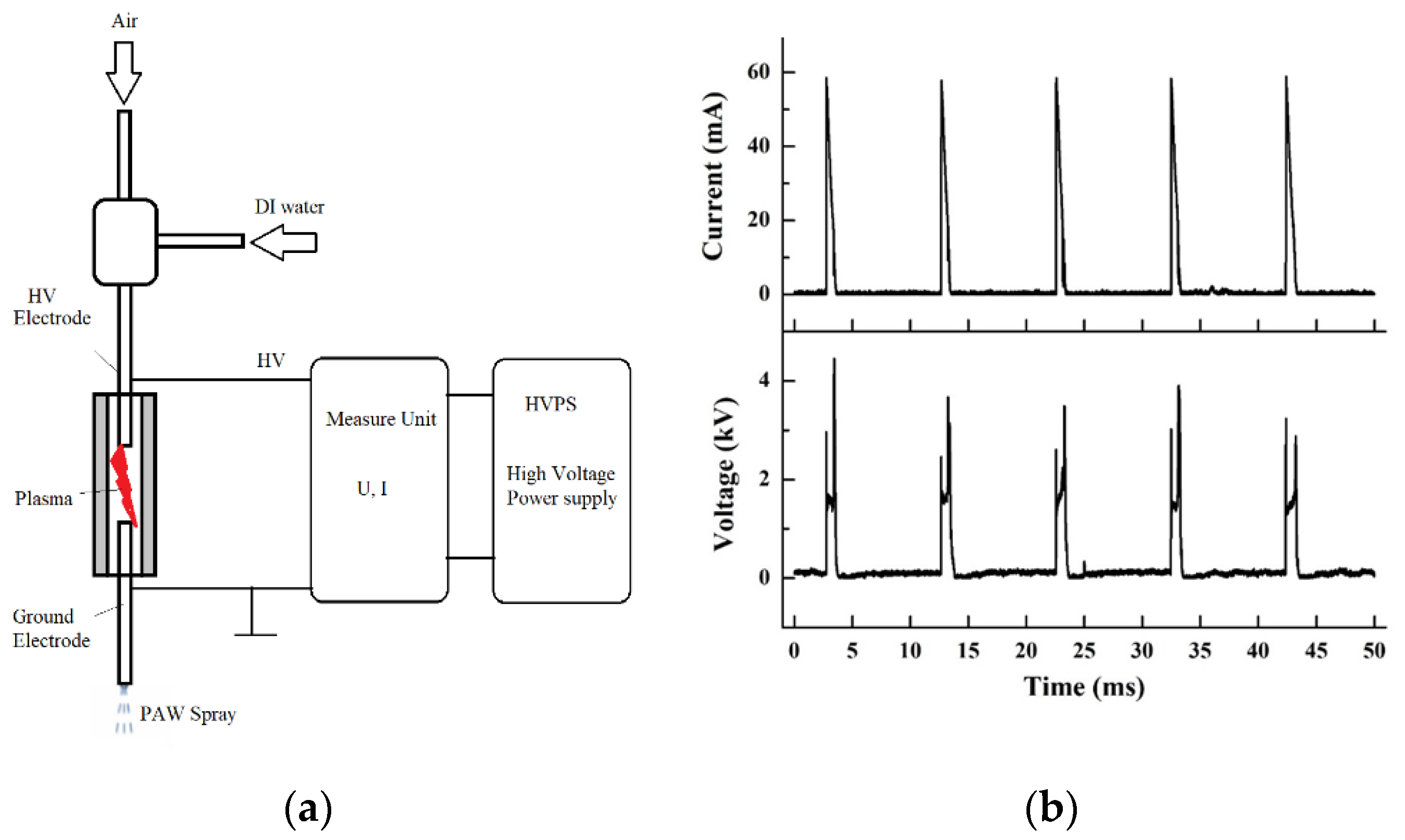 Horticulturae 08 01158 g001