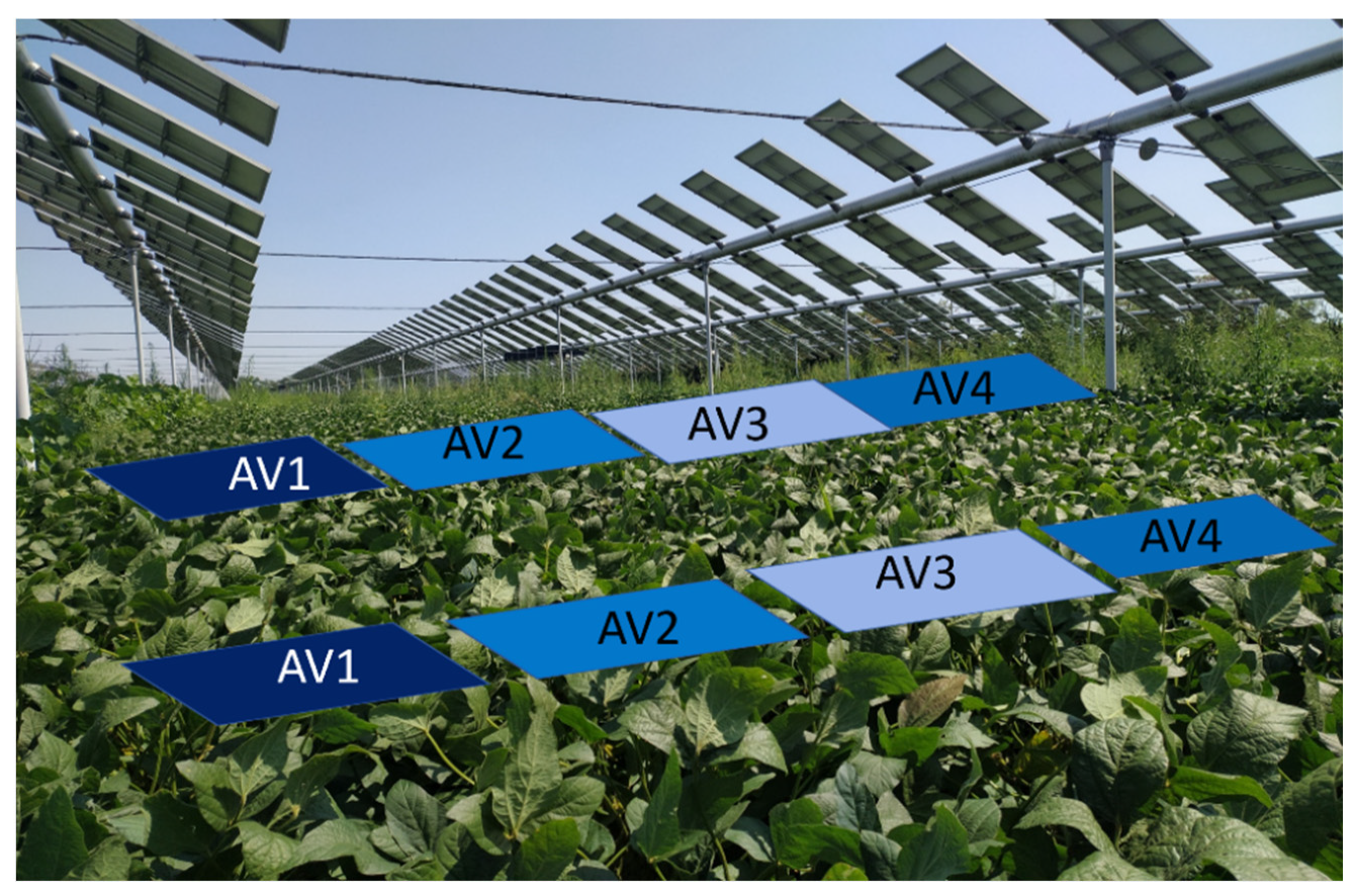 Horticulturae | Free Full-Text | Agrivoltaic System and Modelling  Simulation: A Case Study of Soybean (Glycine max L.) in Italy