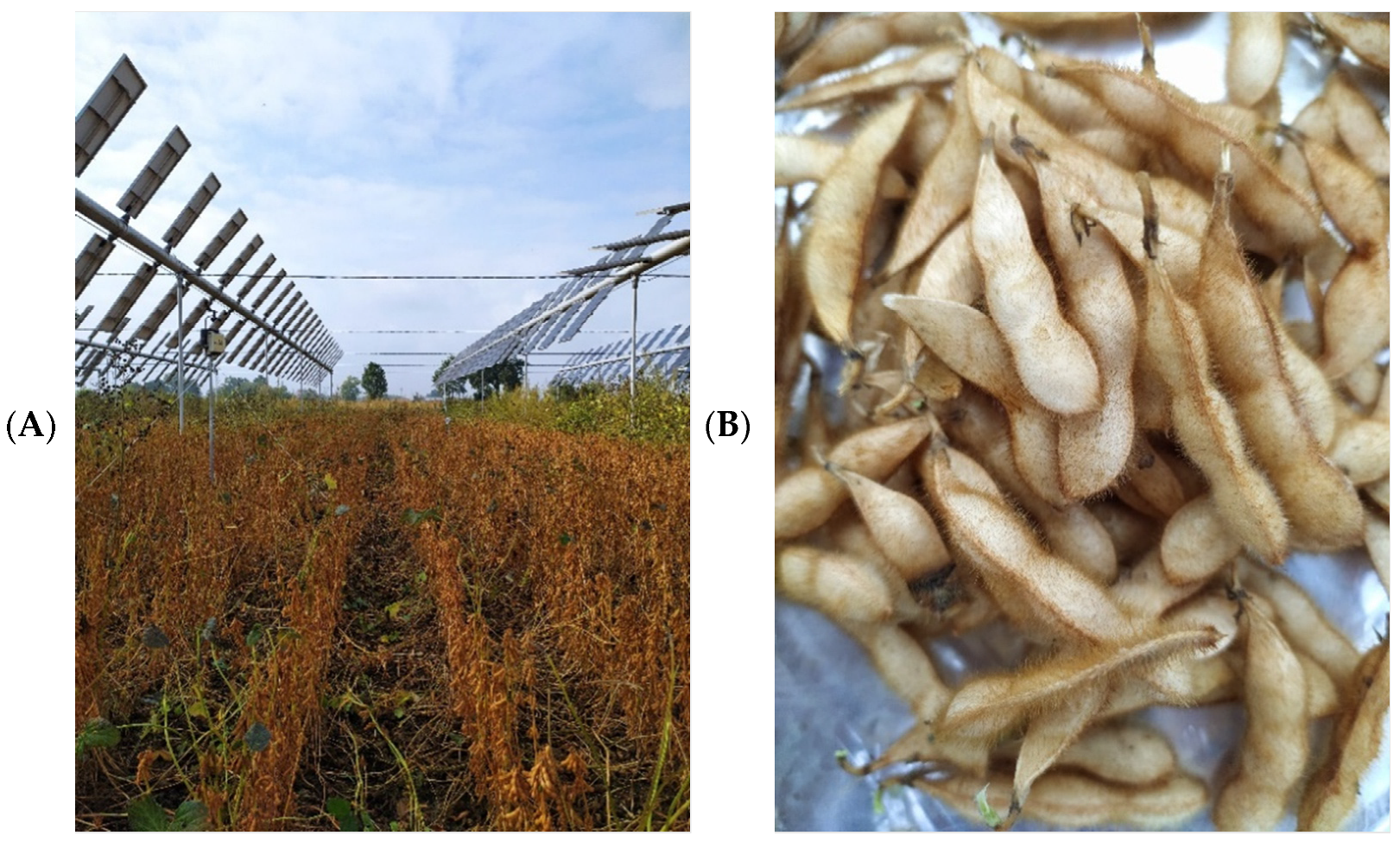 Horticulturae 08 01160 g002