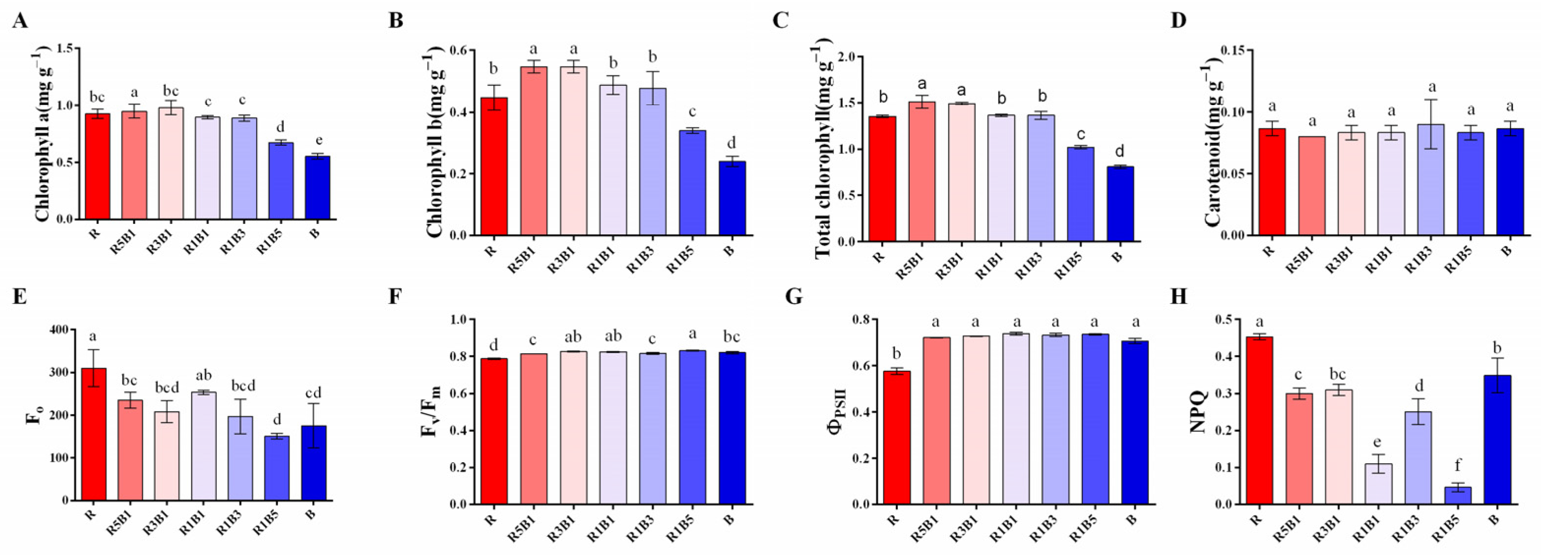 Horticulturae 08 01165 g004