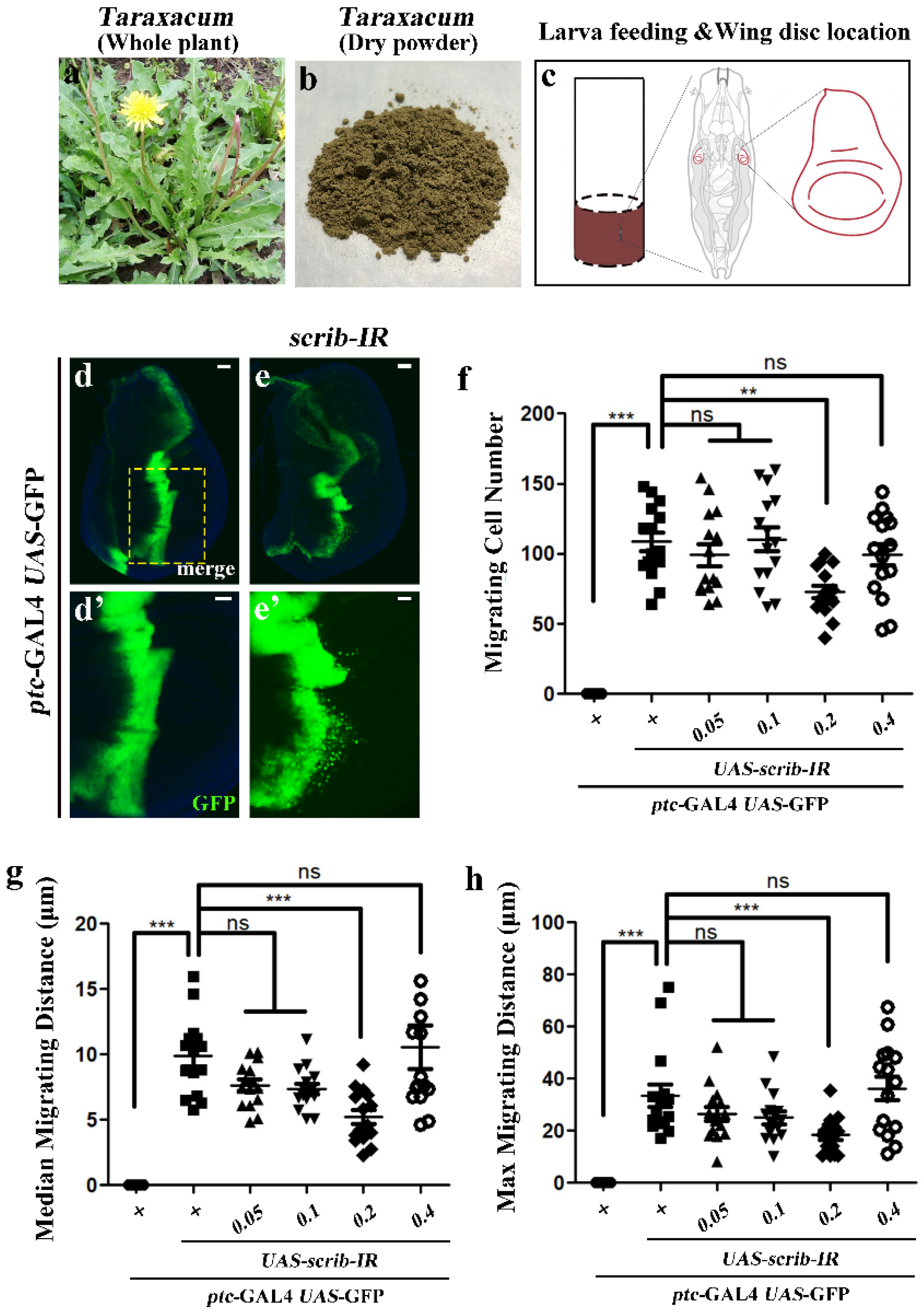 Horticulturae 08 01167 g002 Horticulturae 08 01167 g002