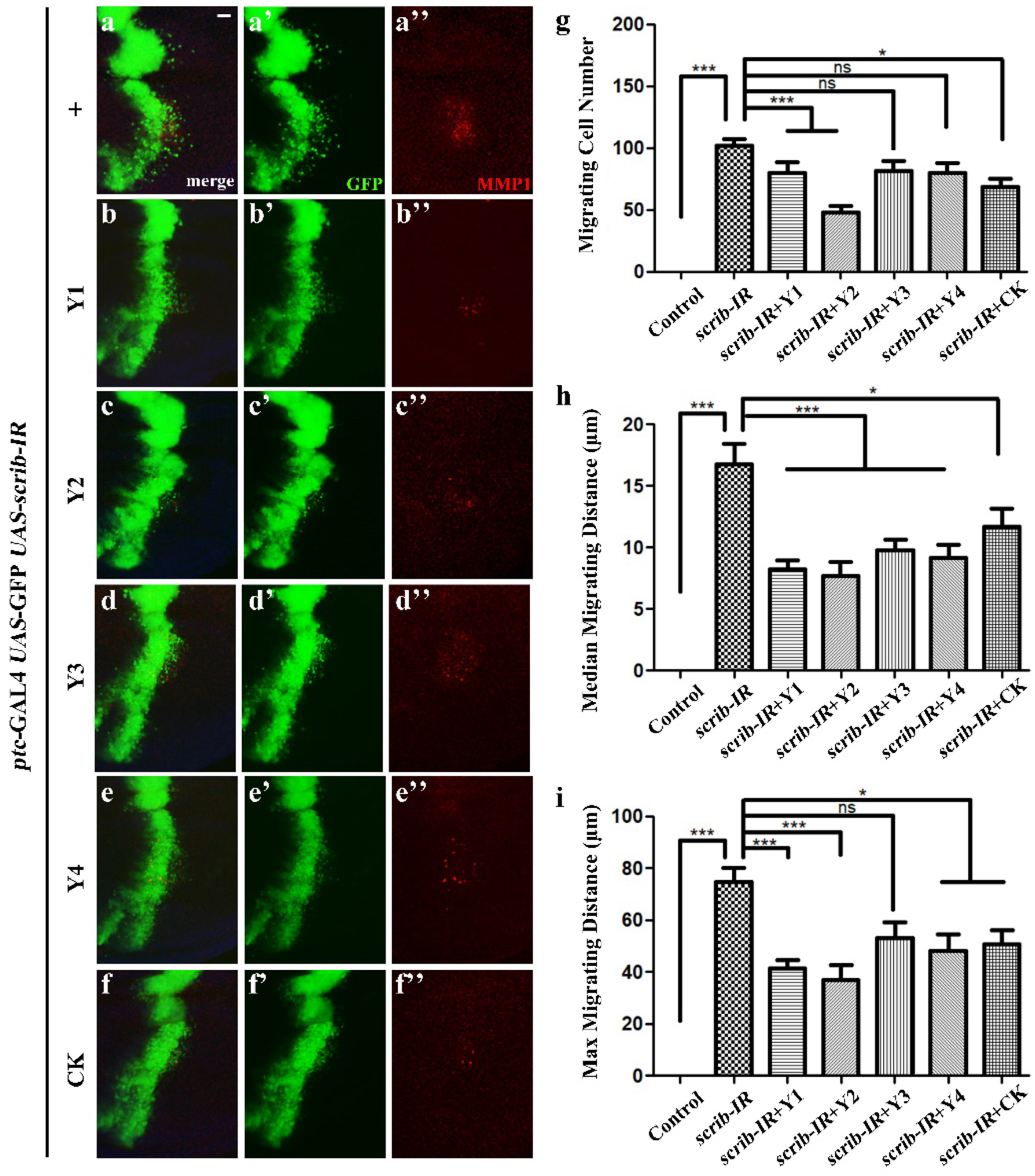 Horticulturae 08 01167 g003 Horticulturae 08 01167 g003