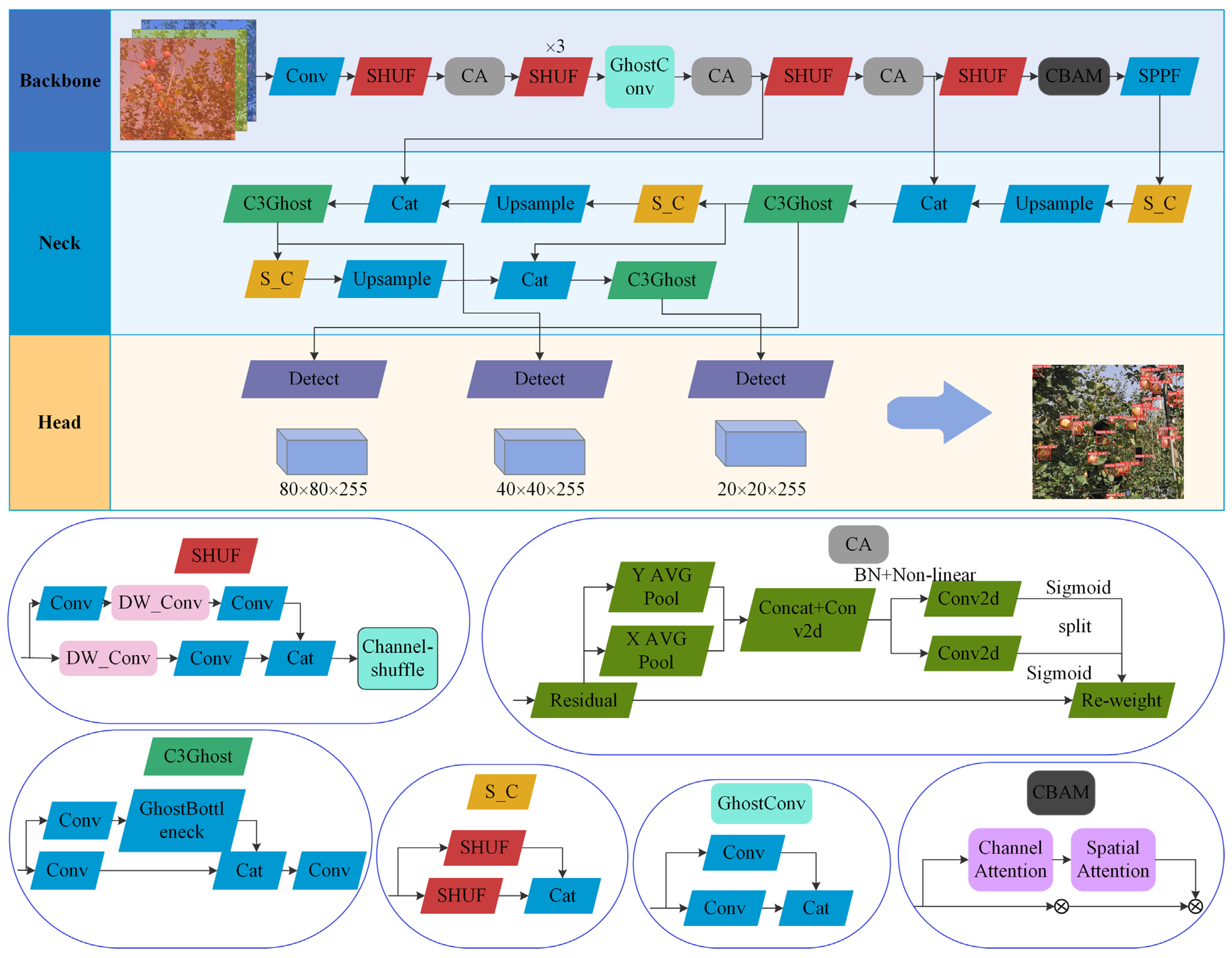 Horticulturae 08 01169 g004 550