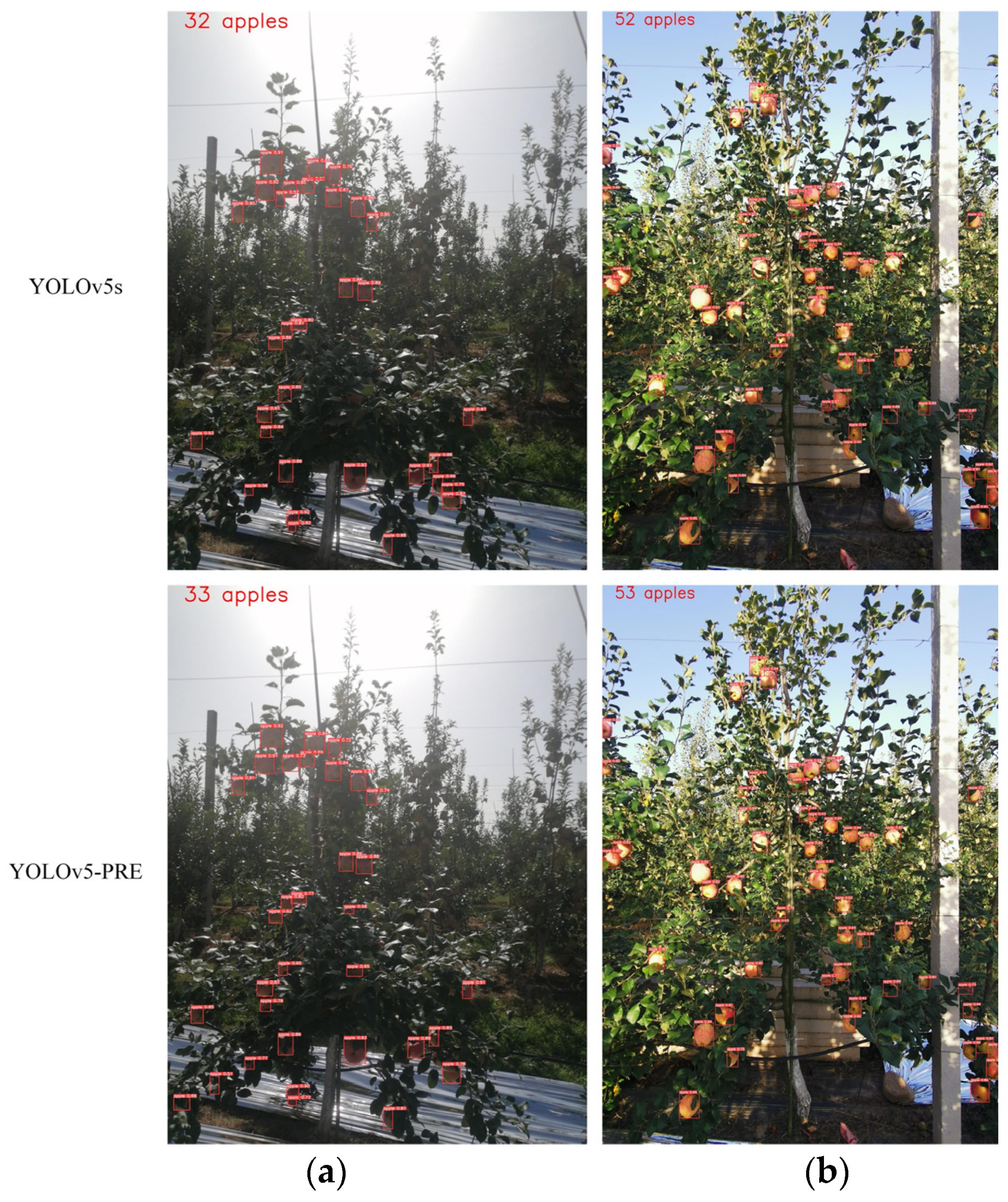 Horticulturae 08 01169 g006 550