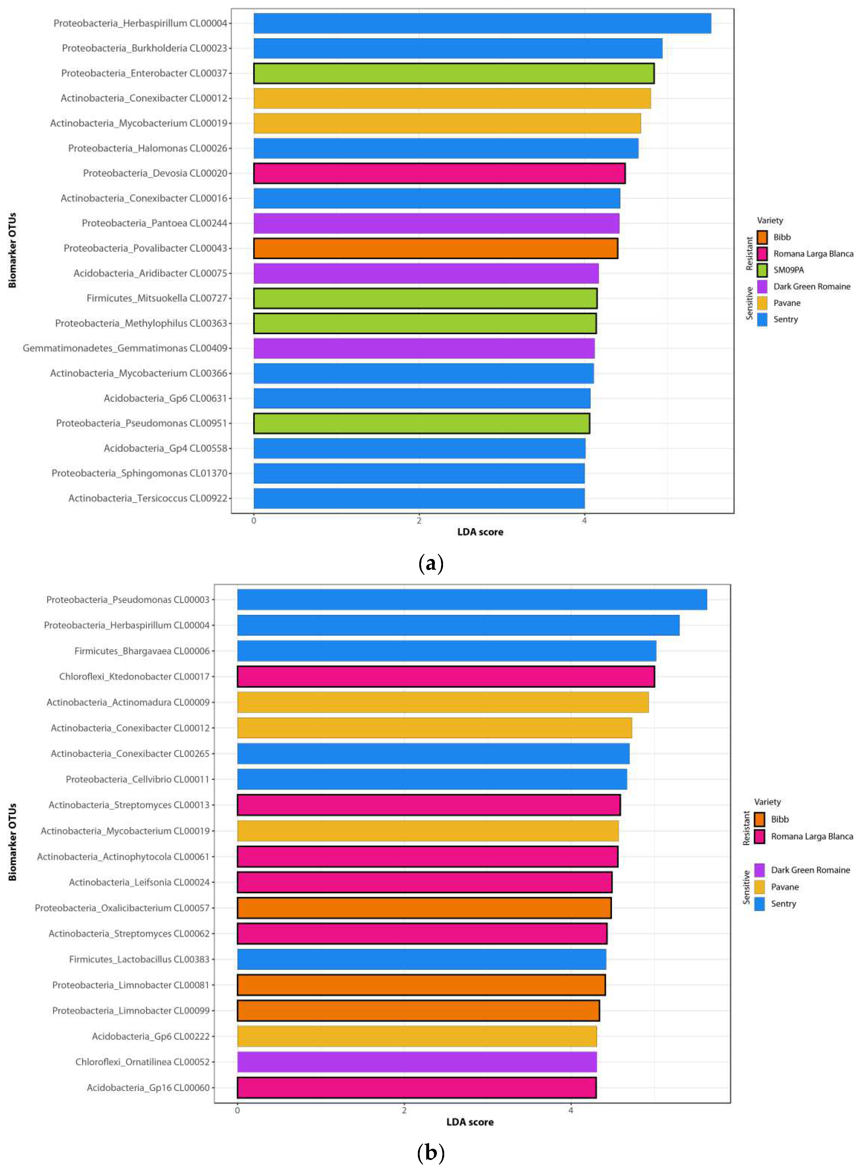 Horticulturae 08 01174 g004 Horticulturae 08 01174 g004