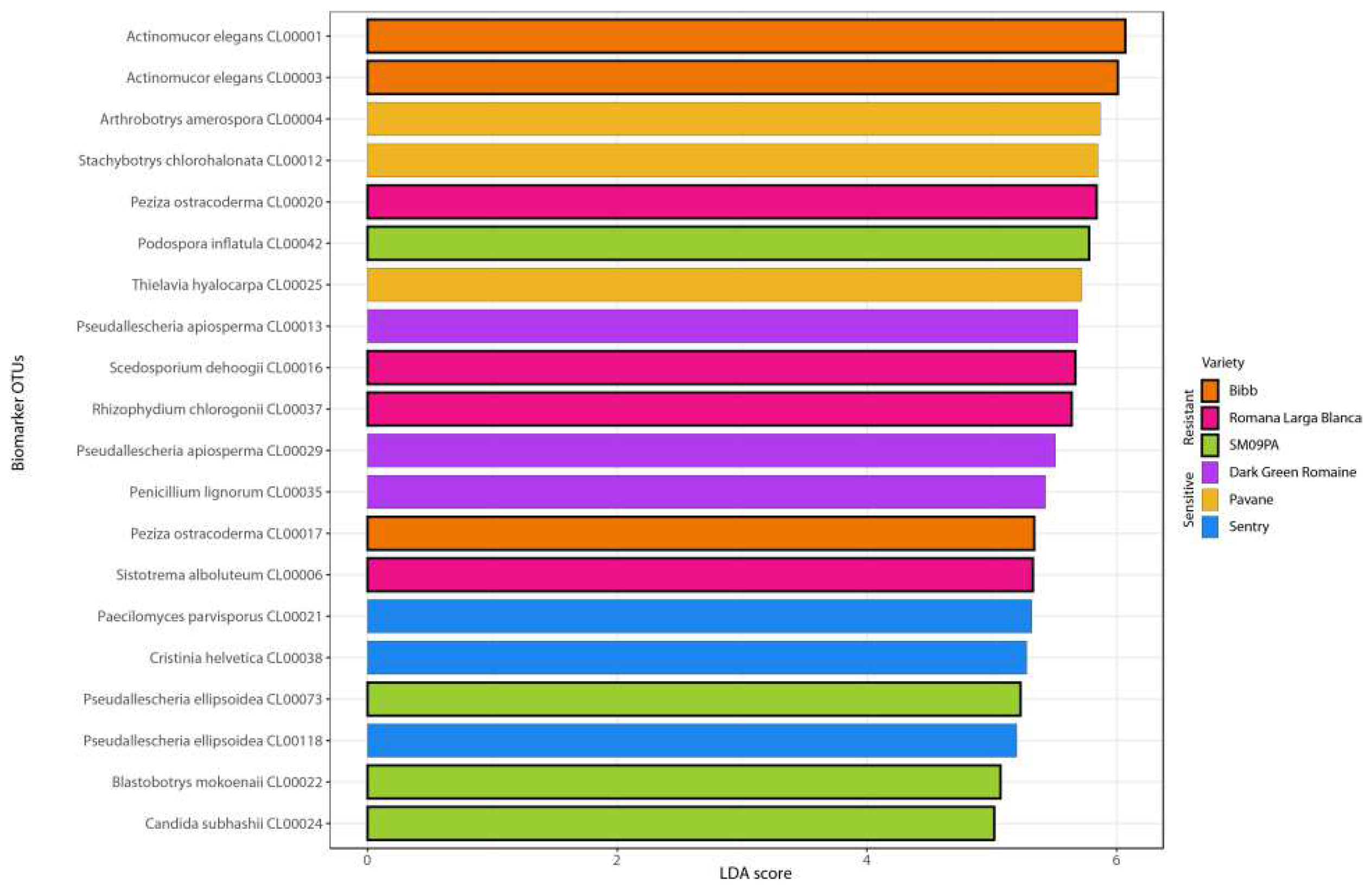 Horticulturae 08 01174 g008 Horticulturae 08 01174 g008