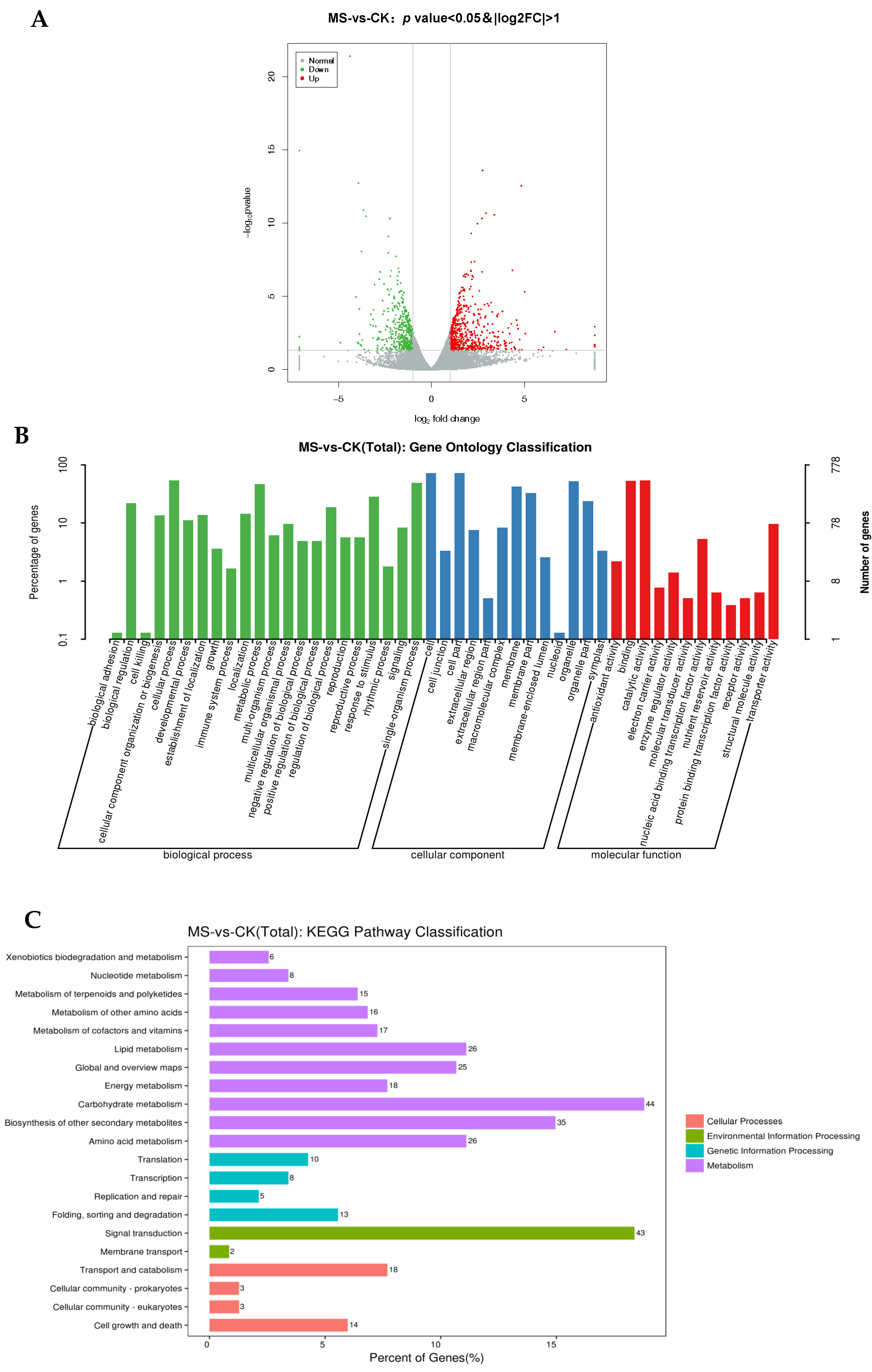 Horticulturae 08 01175 g004