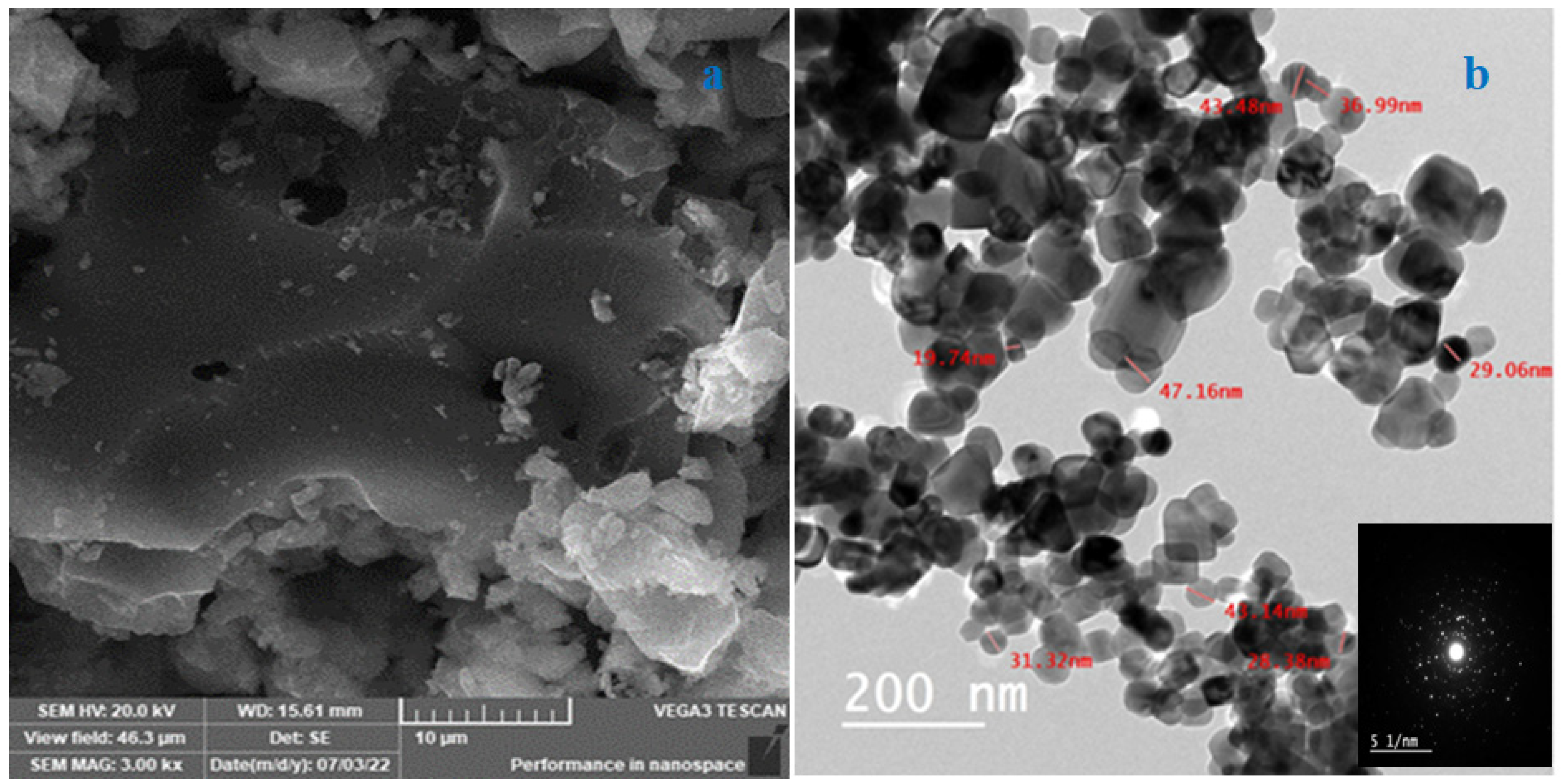 Horticulturae 08 01179 g004 Horticulturae 08 01179 g004