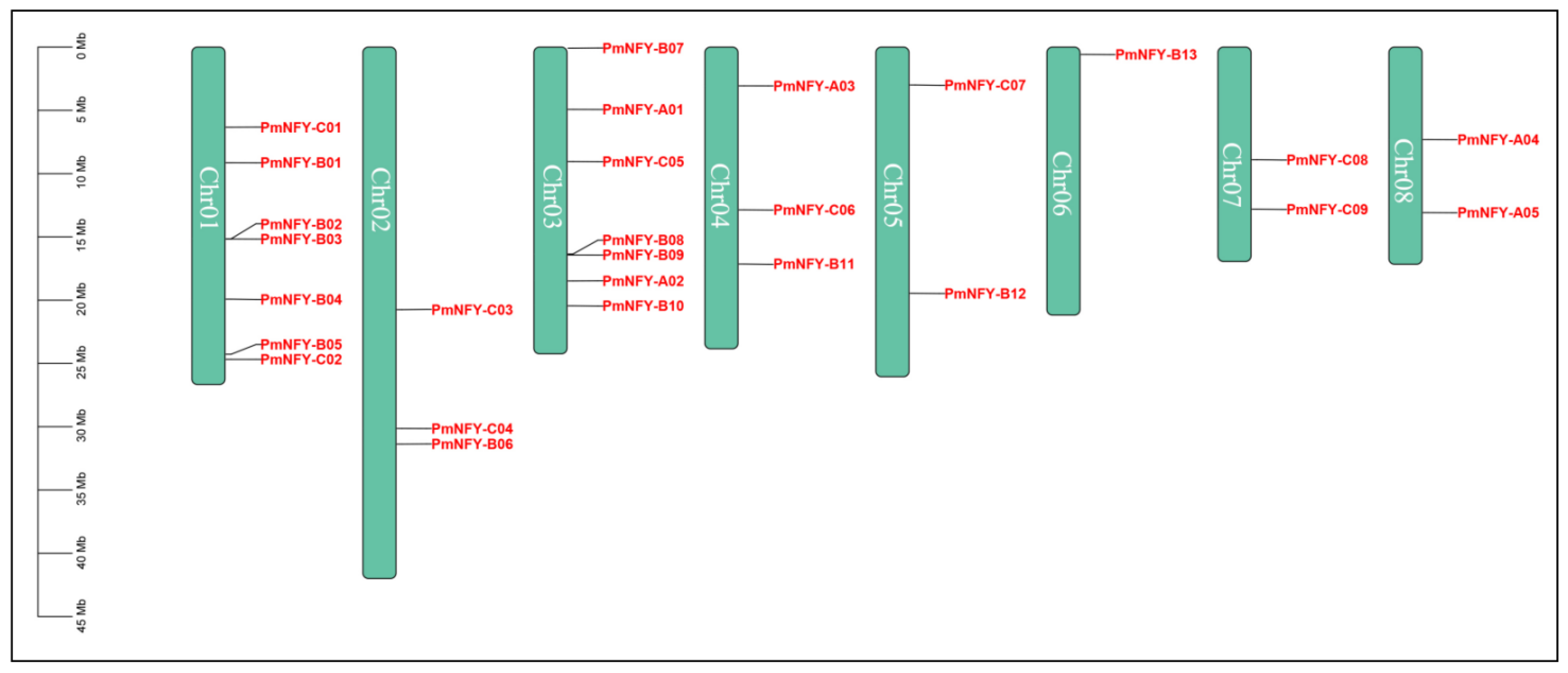 Horticulturae 08 01180 g001