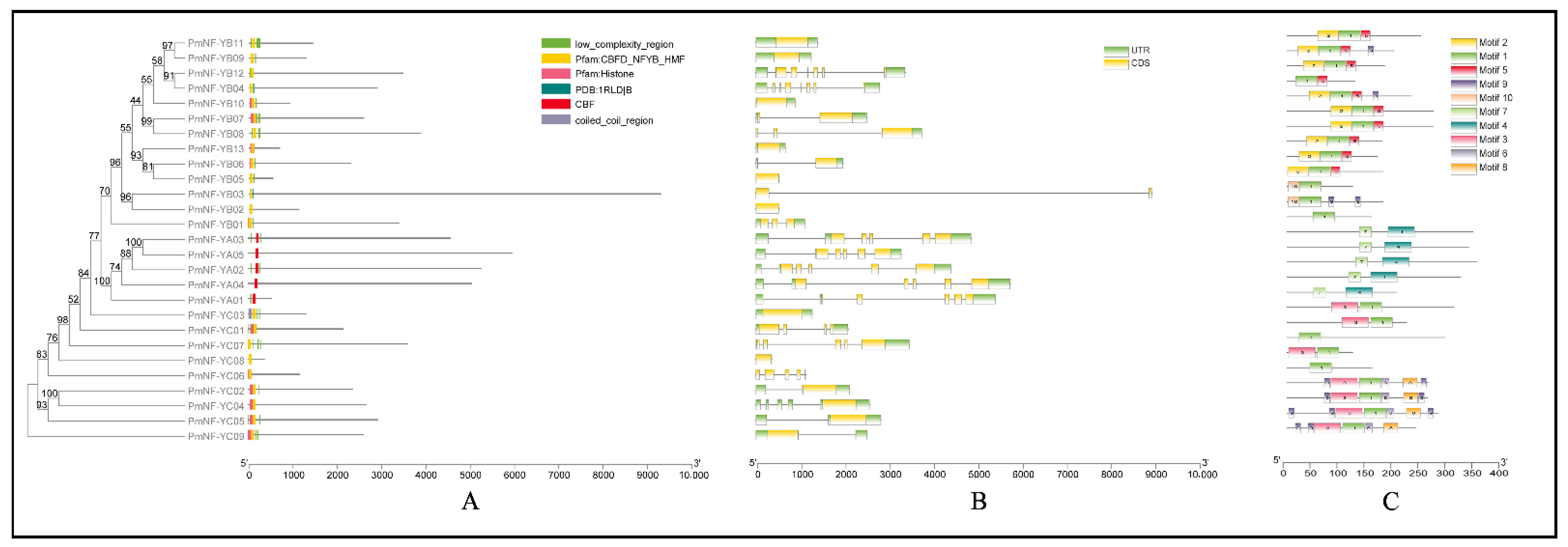 Horticulturae 08 01180 g002