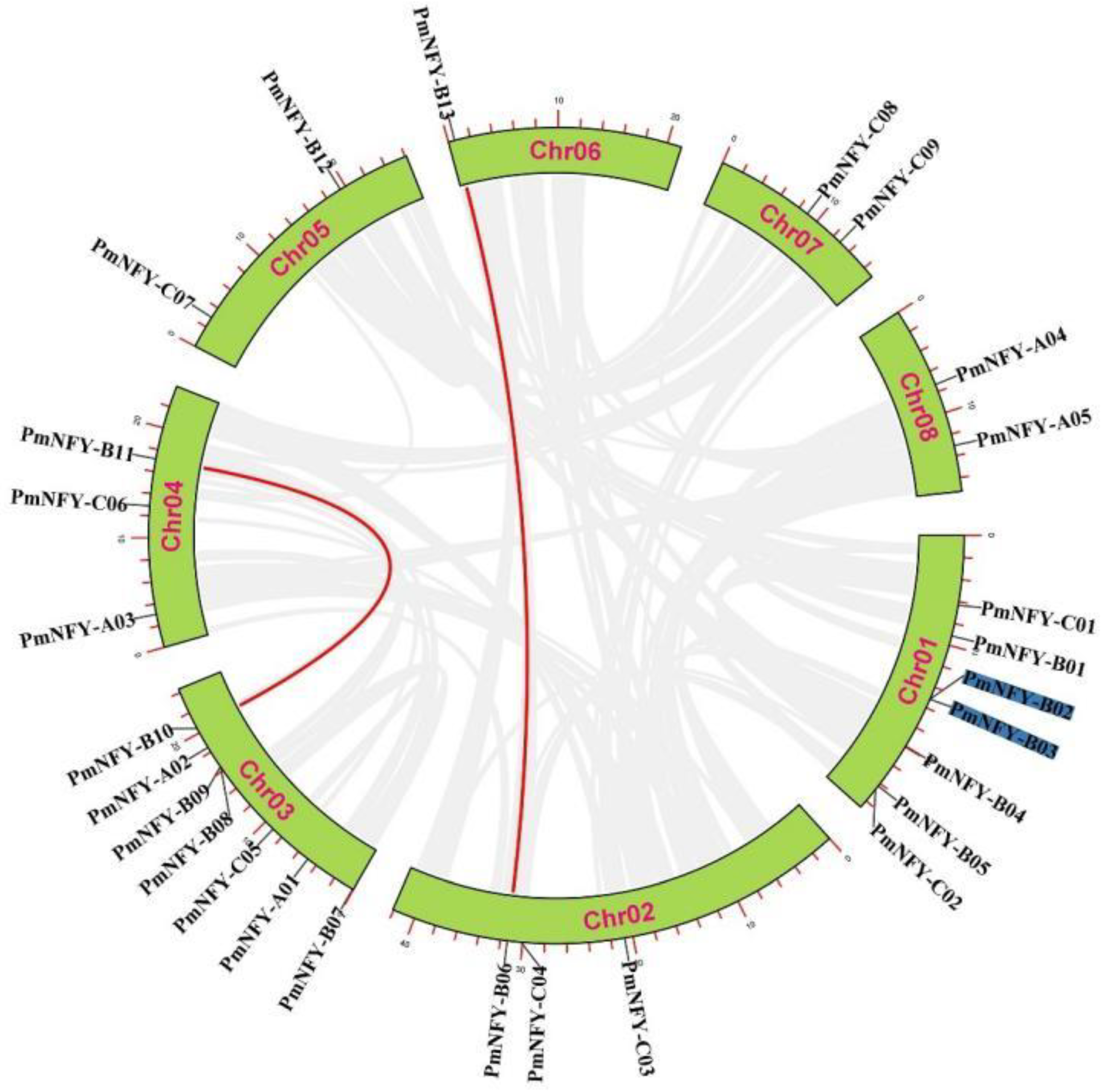 Horticulturae 08 01180 g003