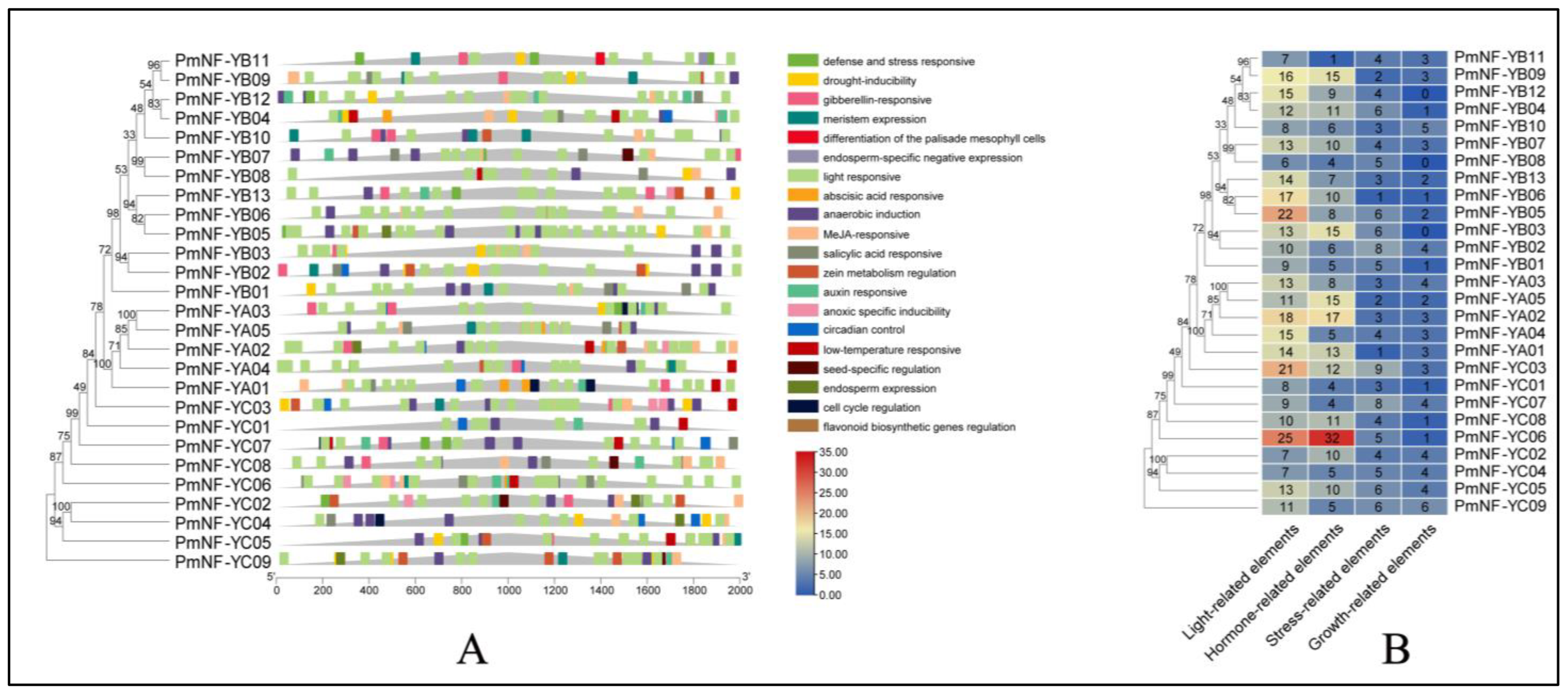Horticulturae 08 01180 g004