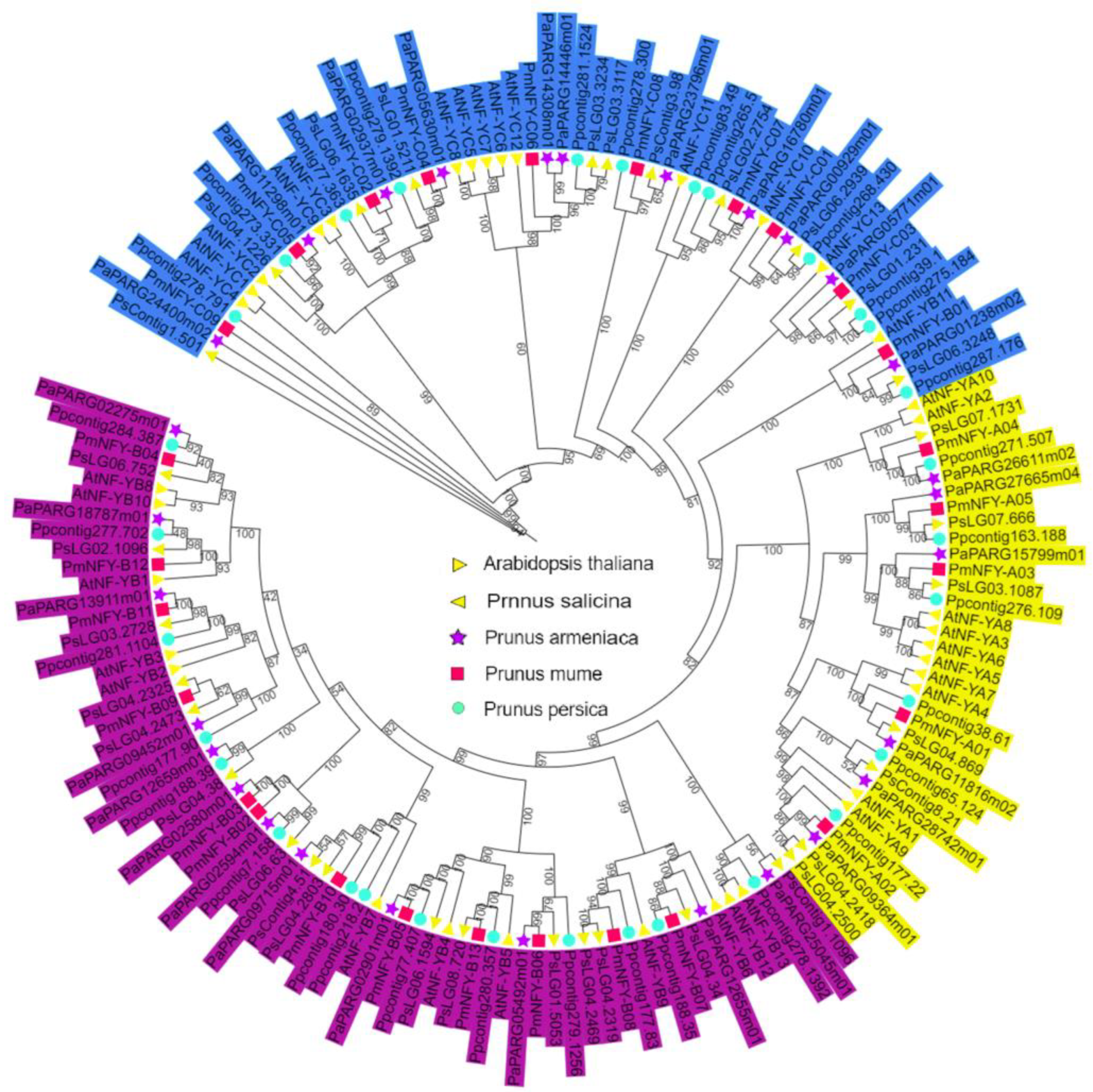 Horticulturae 08 01180 g006