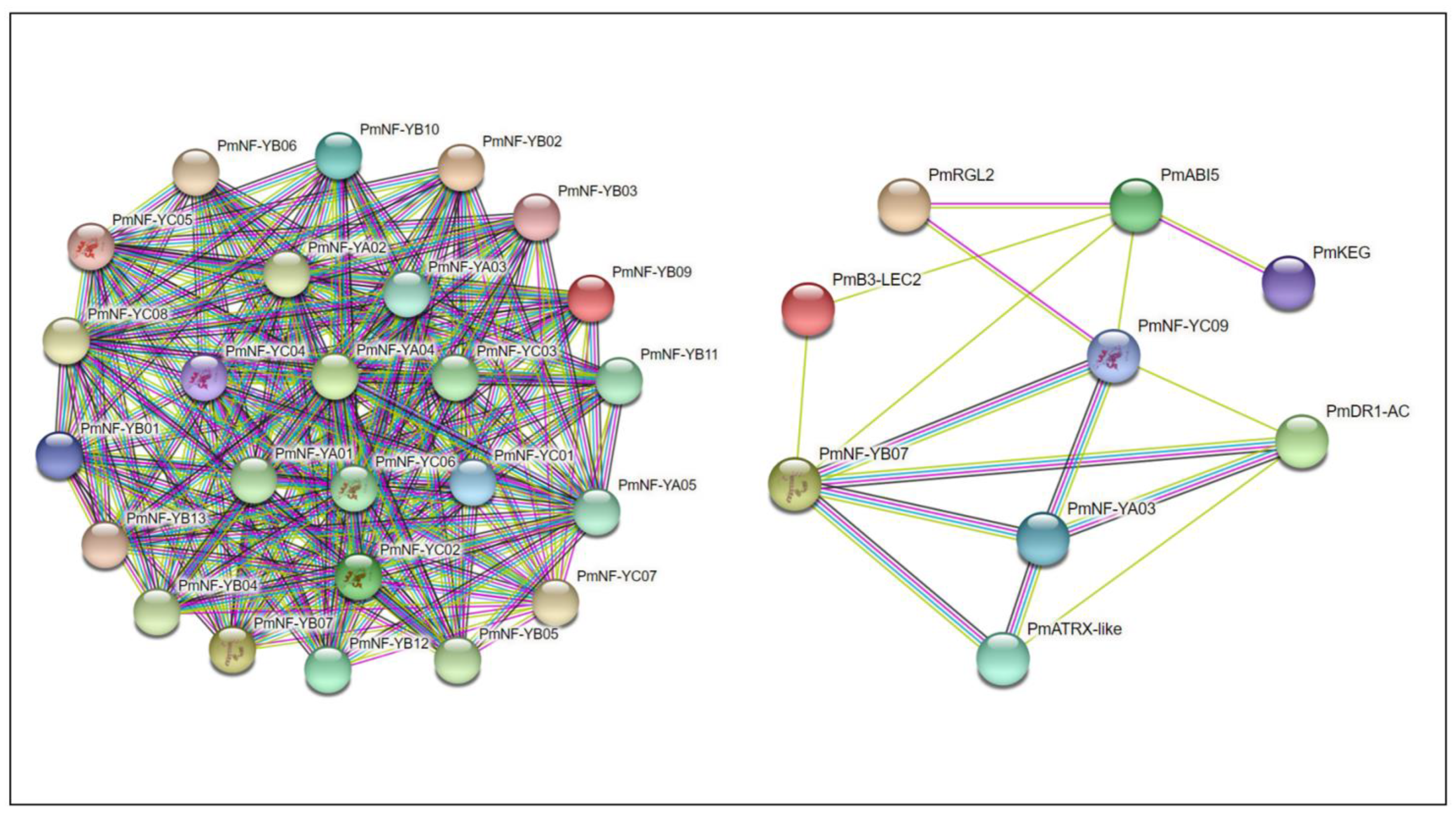 Horticulturae 08 01180 g007