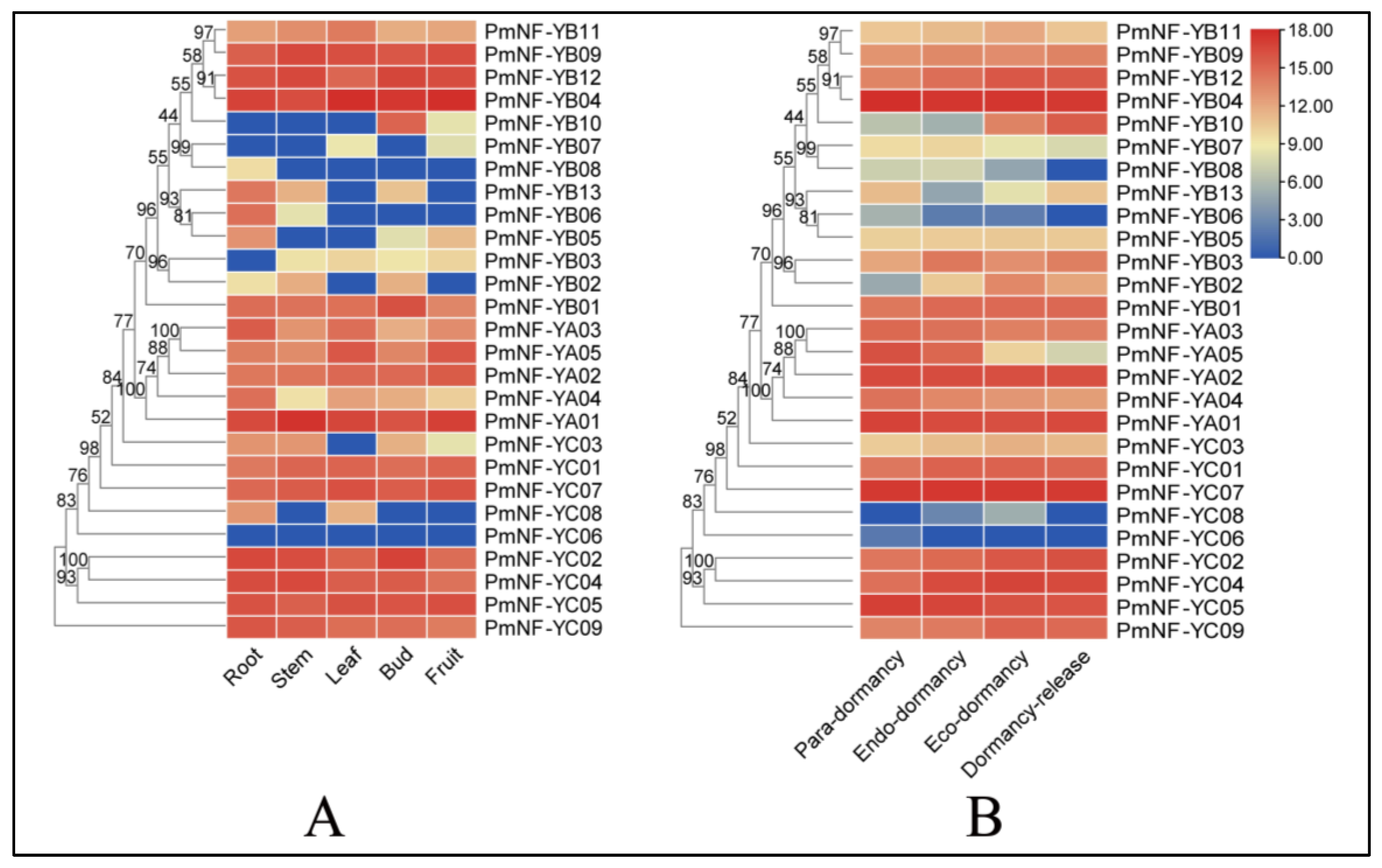 Horticulturae 08 01180 g008