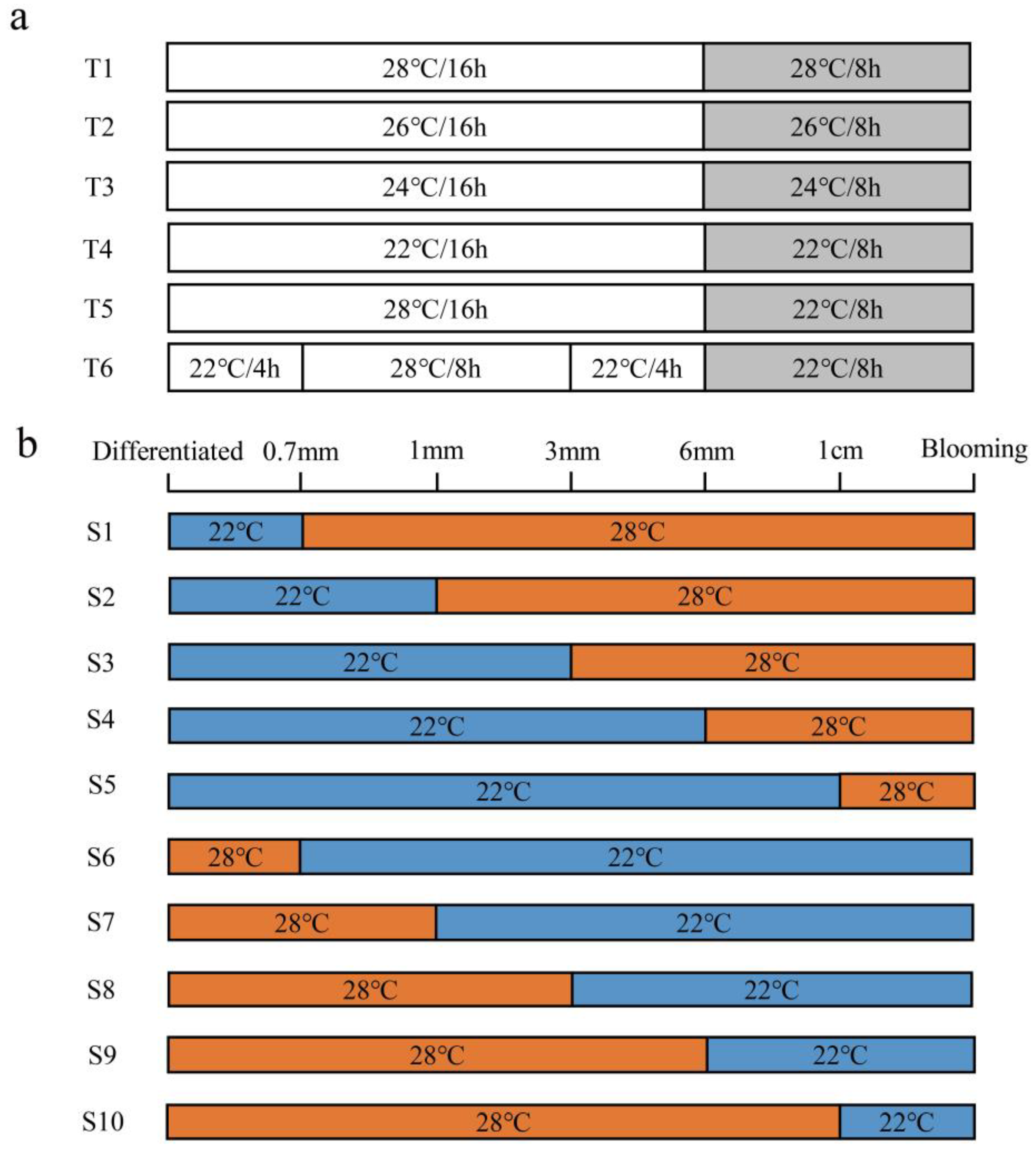 Horticulturae 08 01184 g001 Horticulturae 08 01184 g001