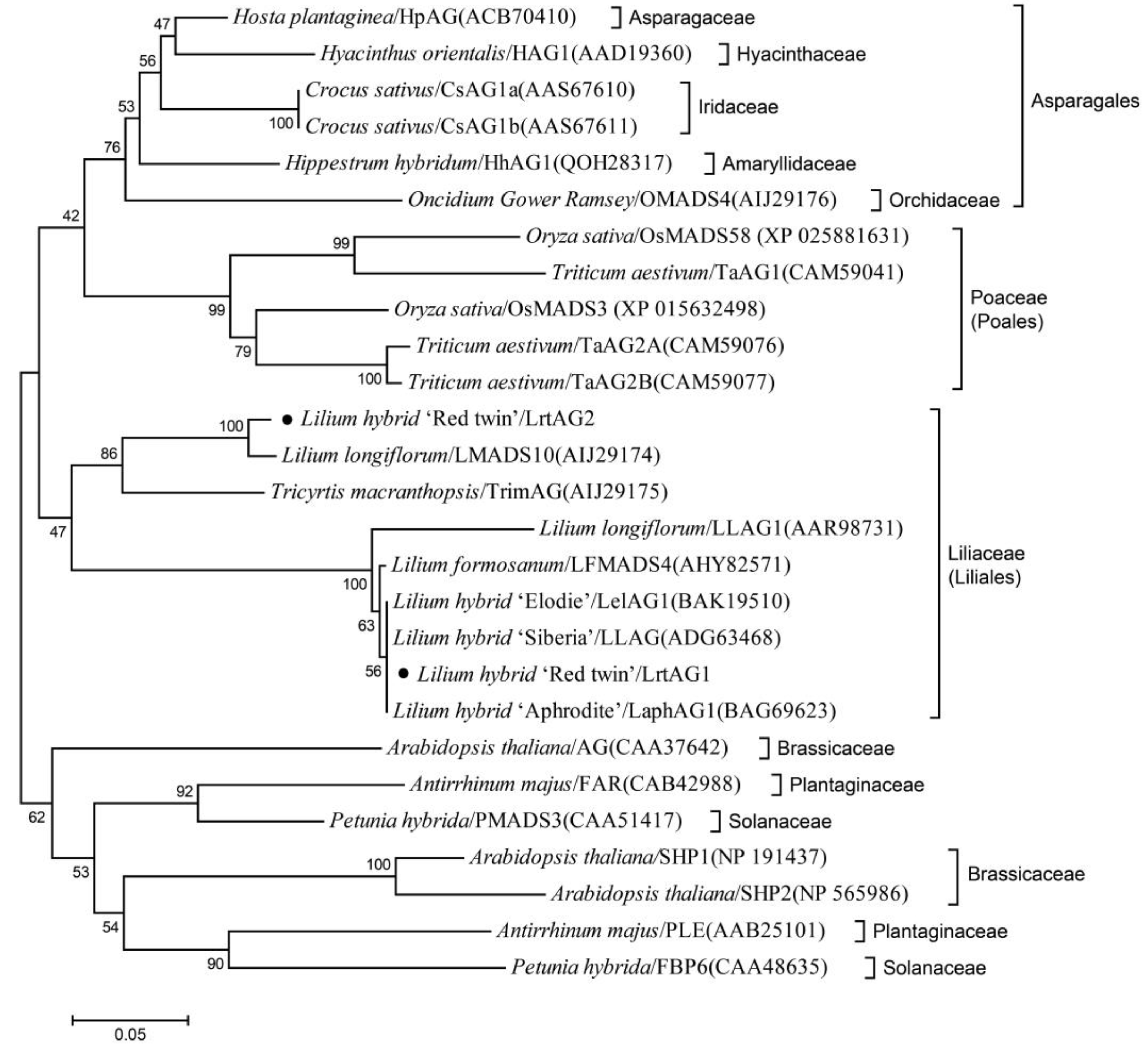Horticulturae 08 01184 g005 Horticulturae 08 01184 g005