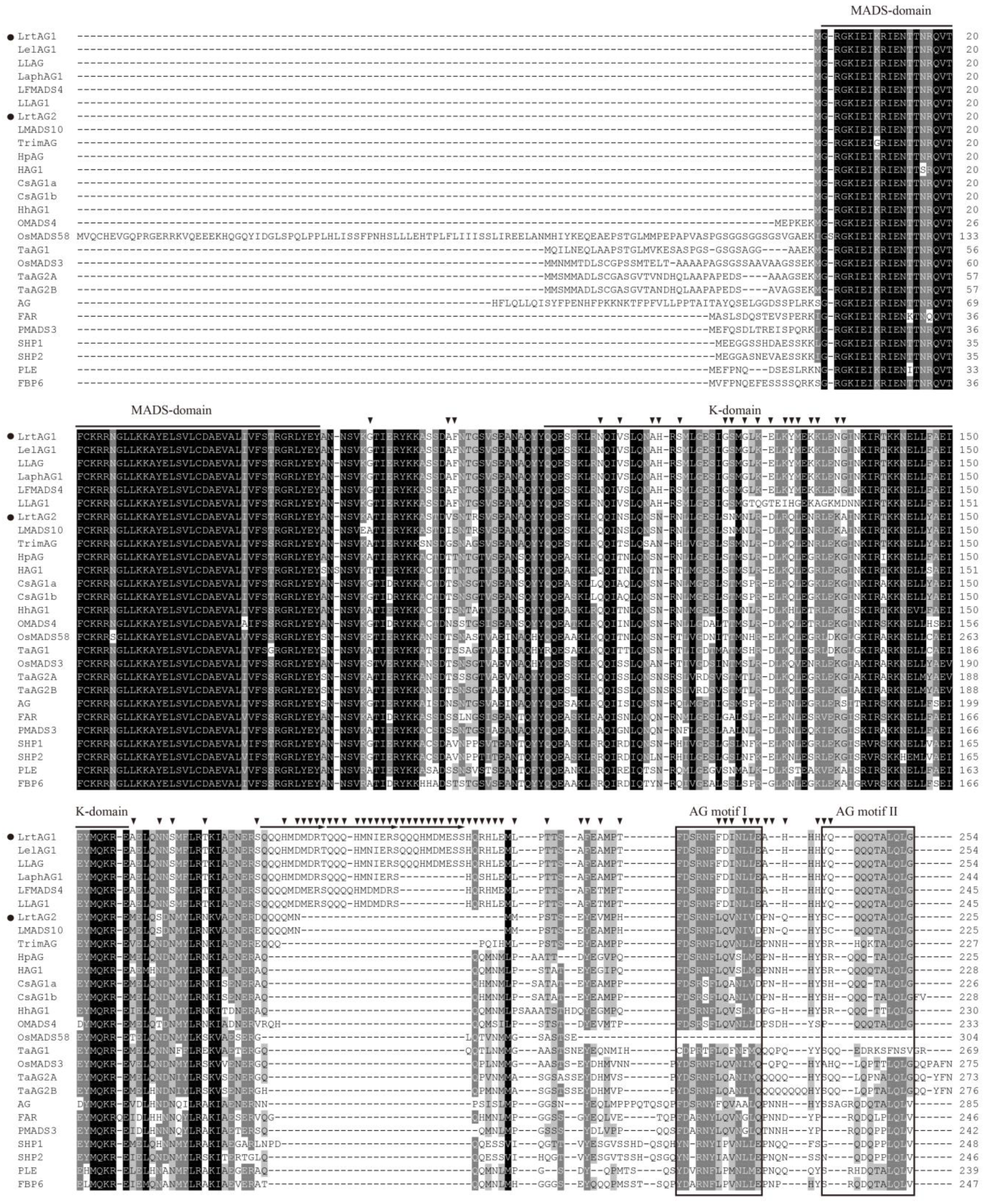 Horticulturae 08 01184 g006 Horticulturae 08 01184 g006