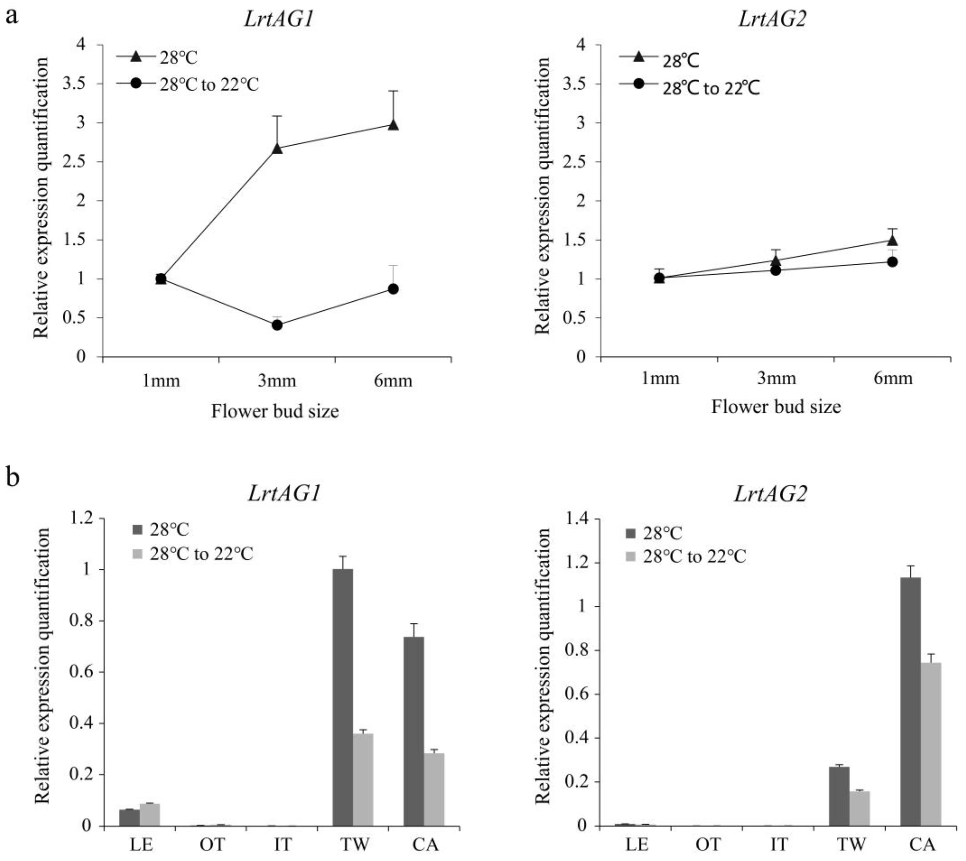 Horticulturae 08 01184 g007 Horticulturae 08 01184 g007