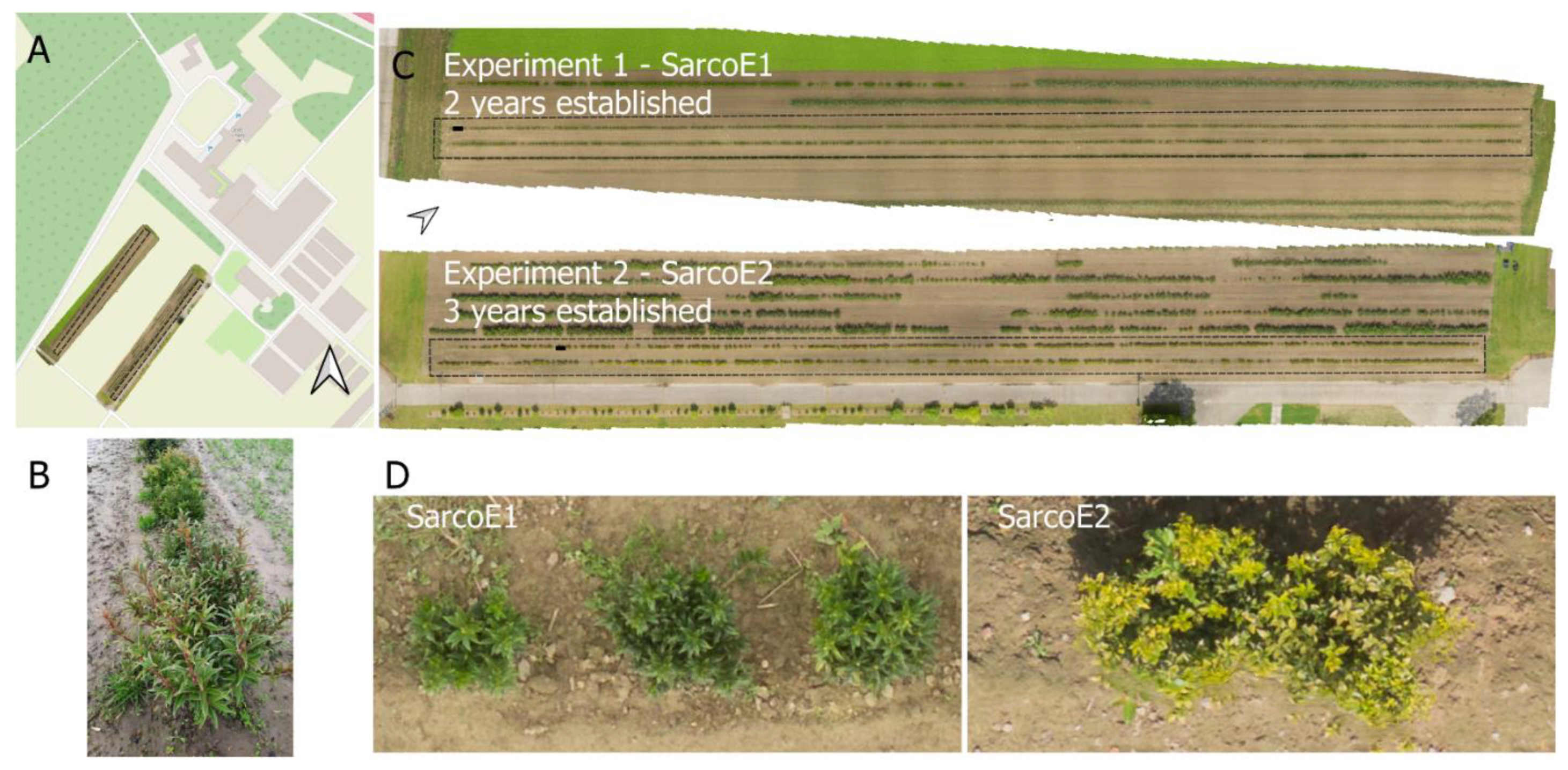 Horticulturae 08 01186 g001