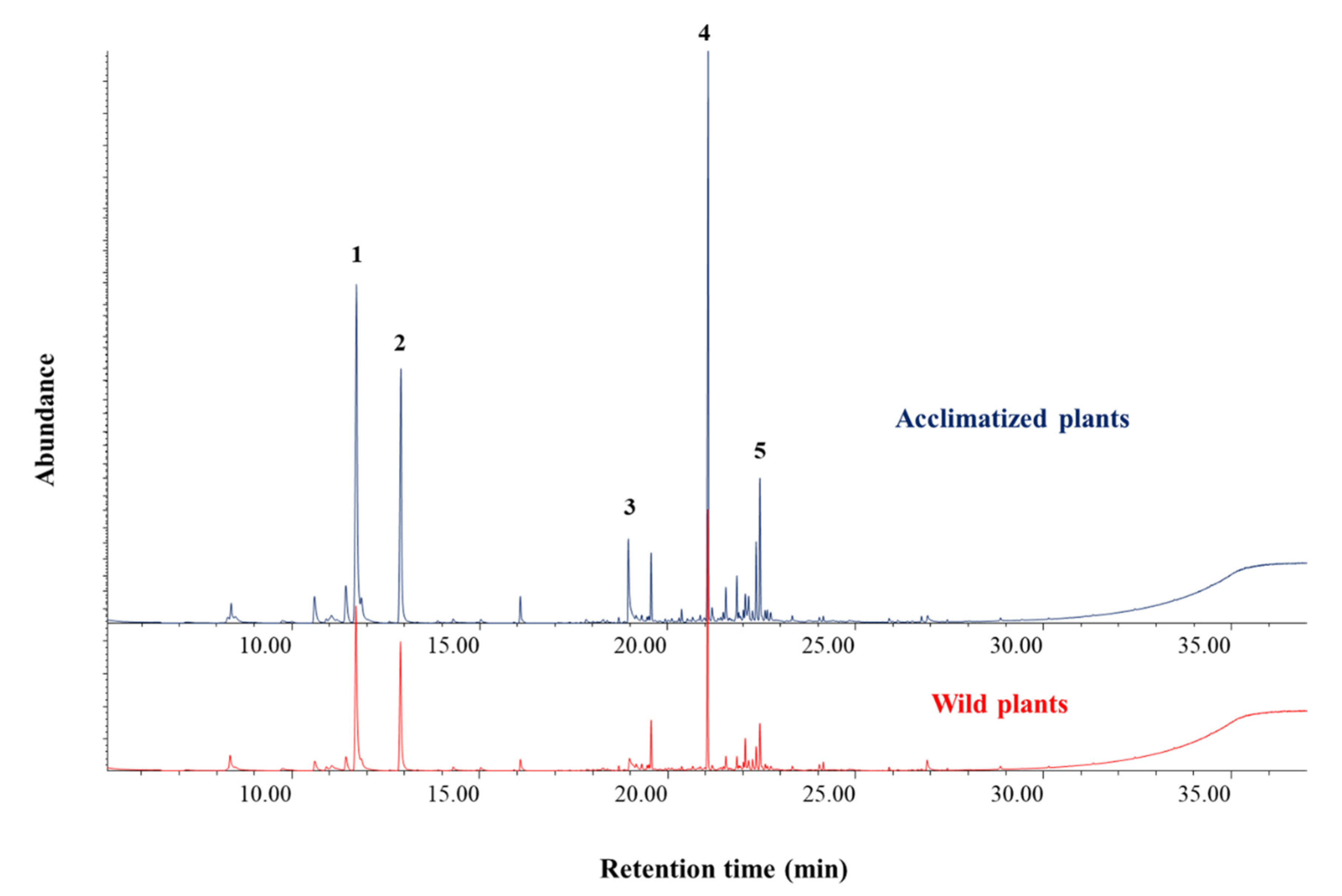Horticulturae 08 01188 g003