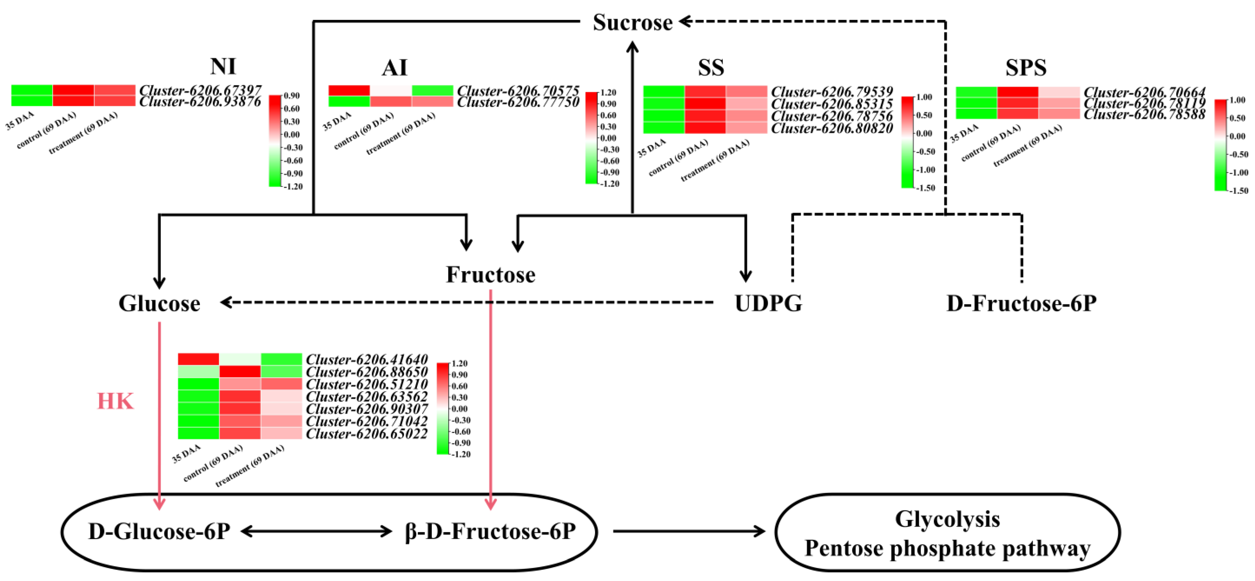 Horticulturae 08 01197 g005 Horticulturae 08 01197 g005