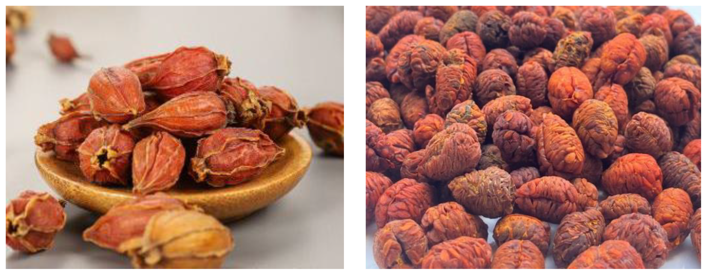 Horticulturae Free FullText Extraction Optimization of Crocin from