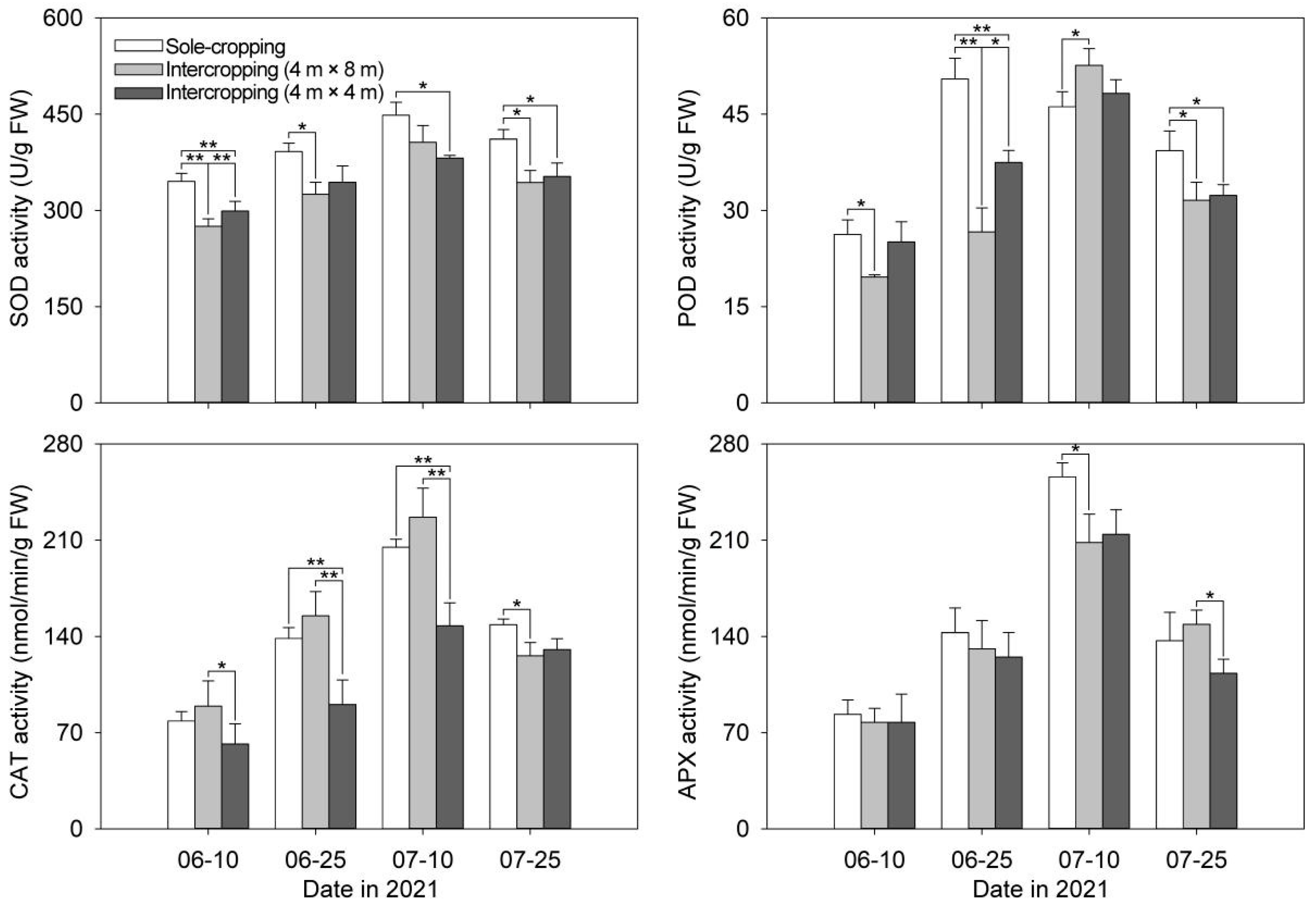 Horticulturae 08 01201 g004