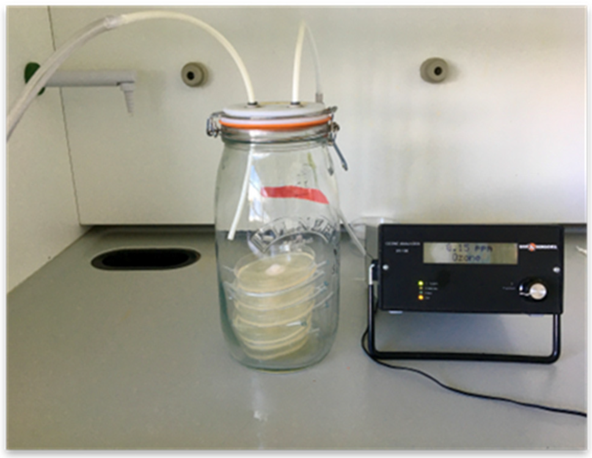 Horticulturae 08 01203 g002