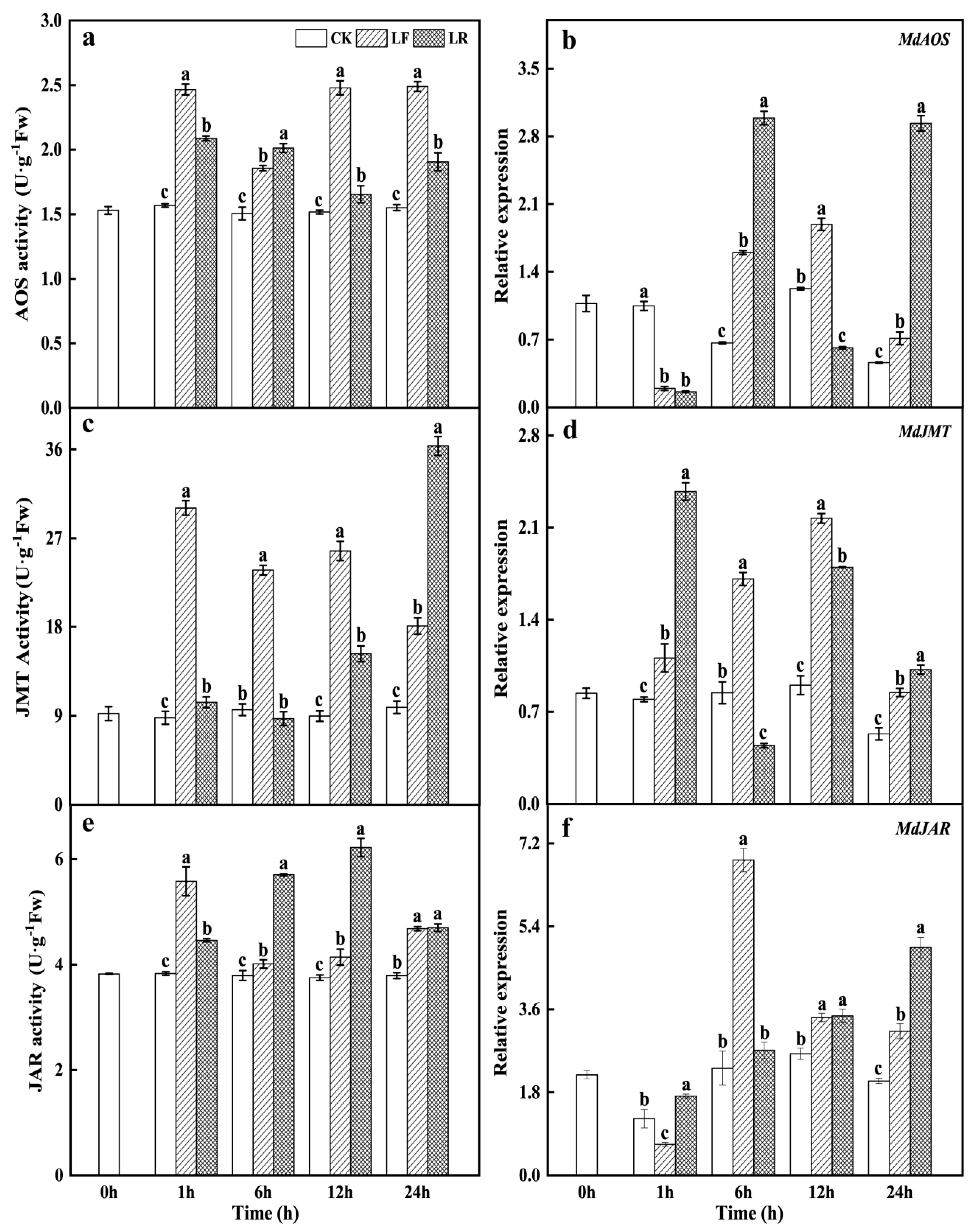 Horticulturae 08 01205 g002 Horticulturae 08 01205 g002