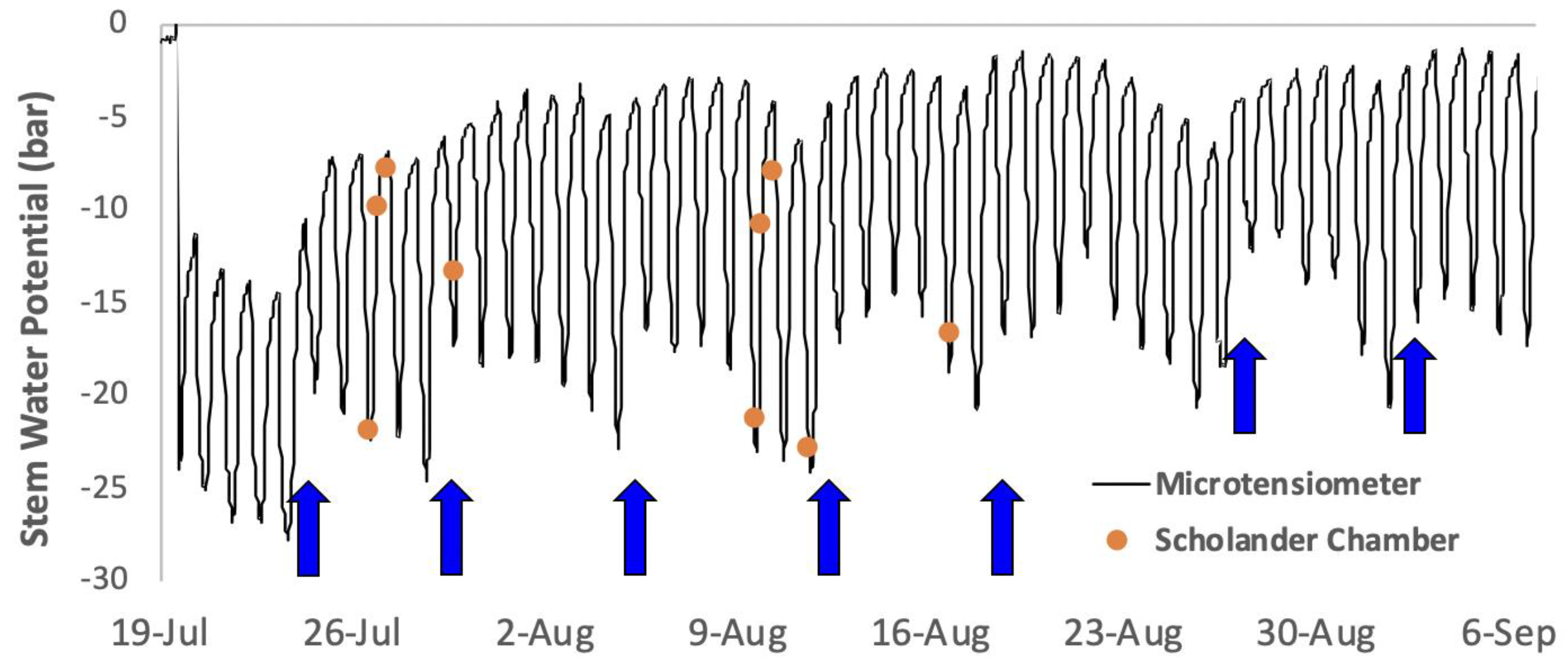 Horticulturae 08 01207 g007
