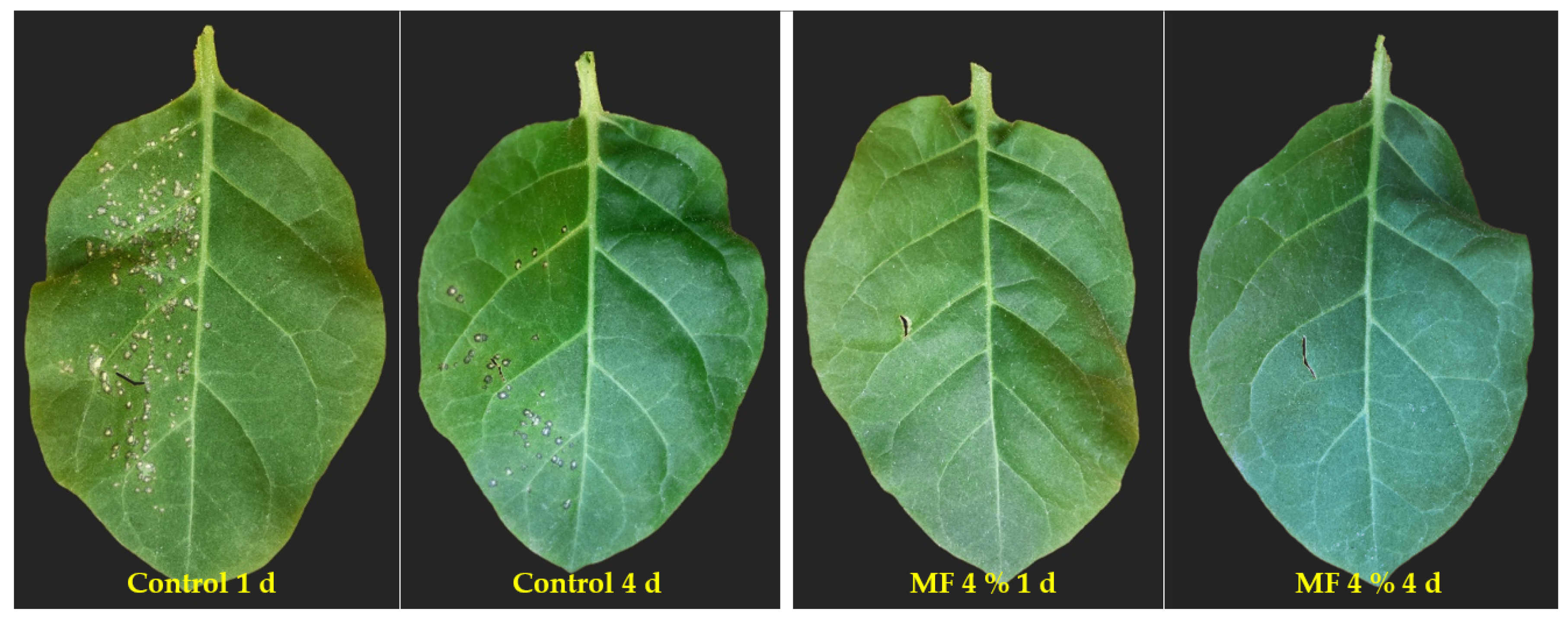 Horticulturae 08 01210 g006