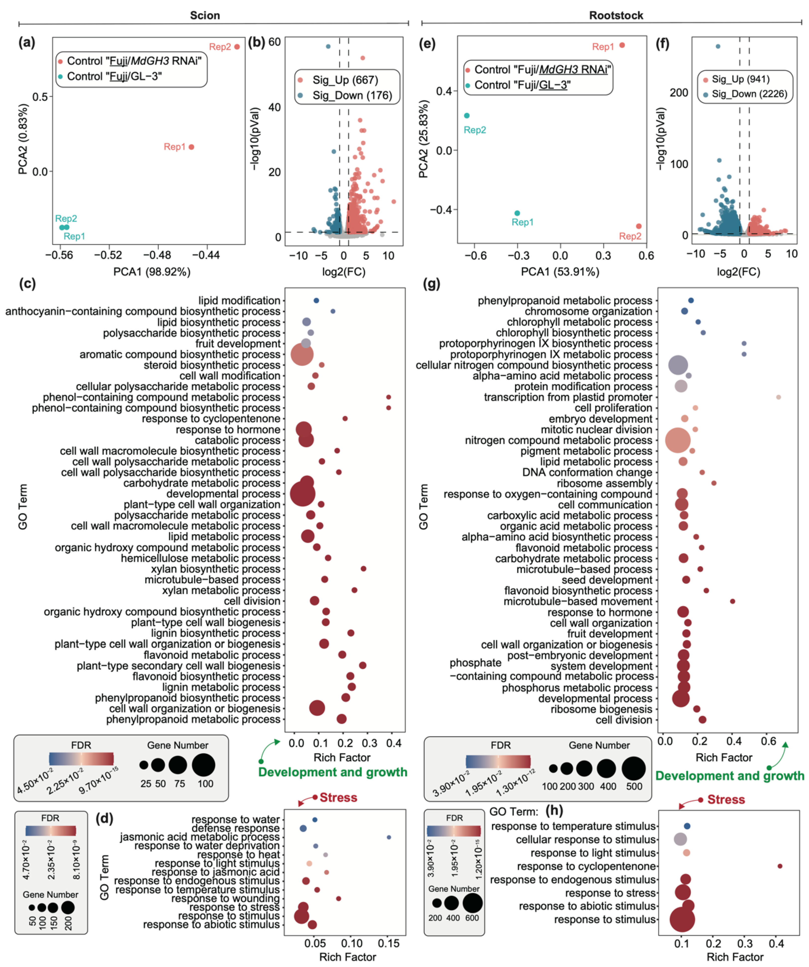 Horticulturae 08 01212 g002