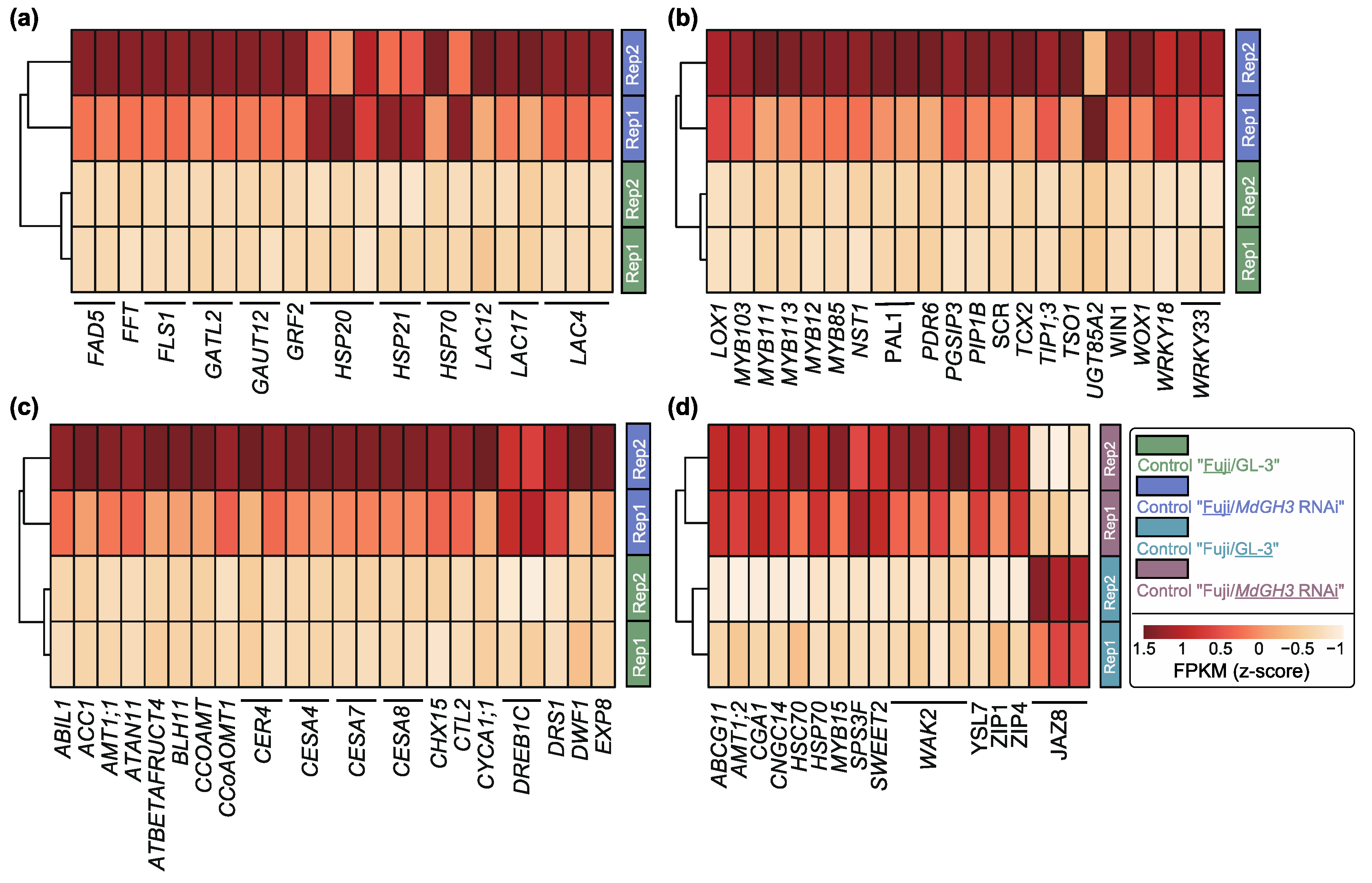Horticulturae 08 01212 g003