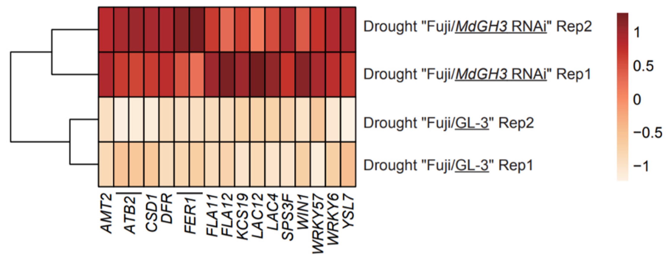Horticulturae 08 01212 g005