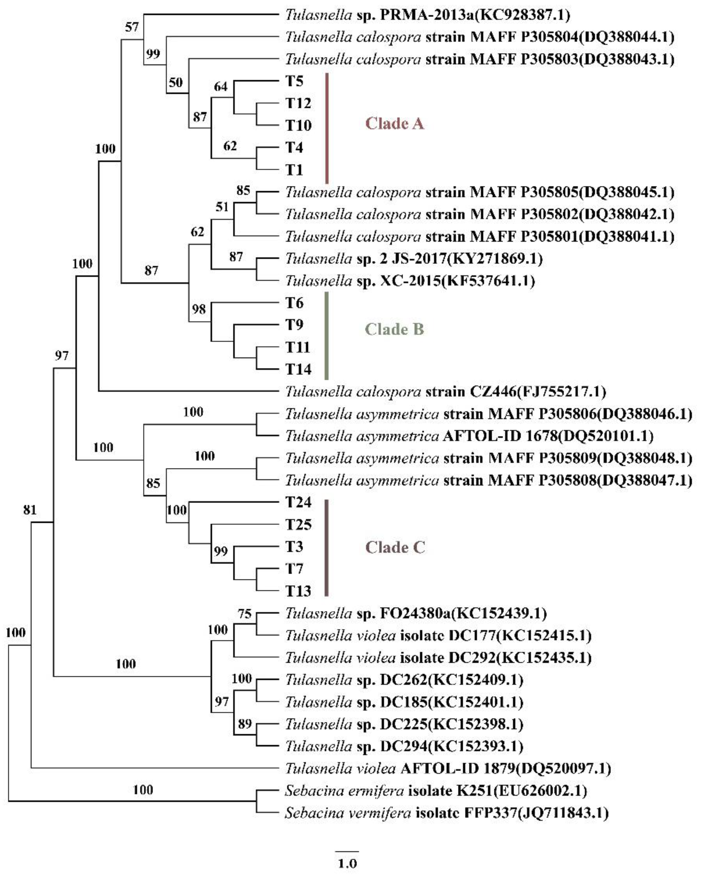 Horticulturae 08 01213 g002 Horticulturae 08 01213 g002