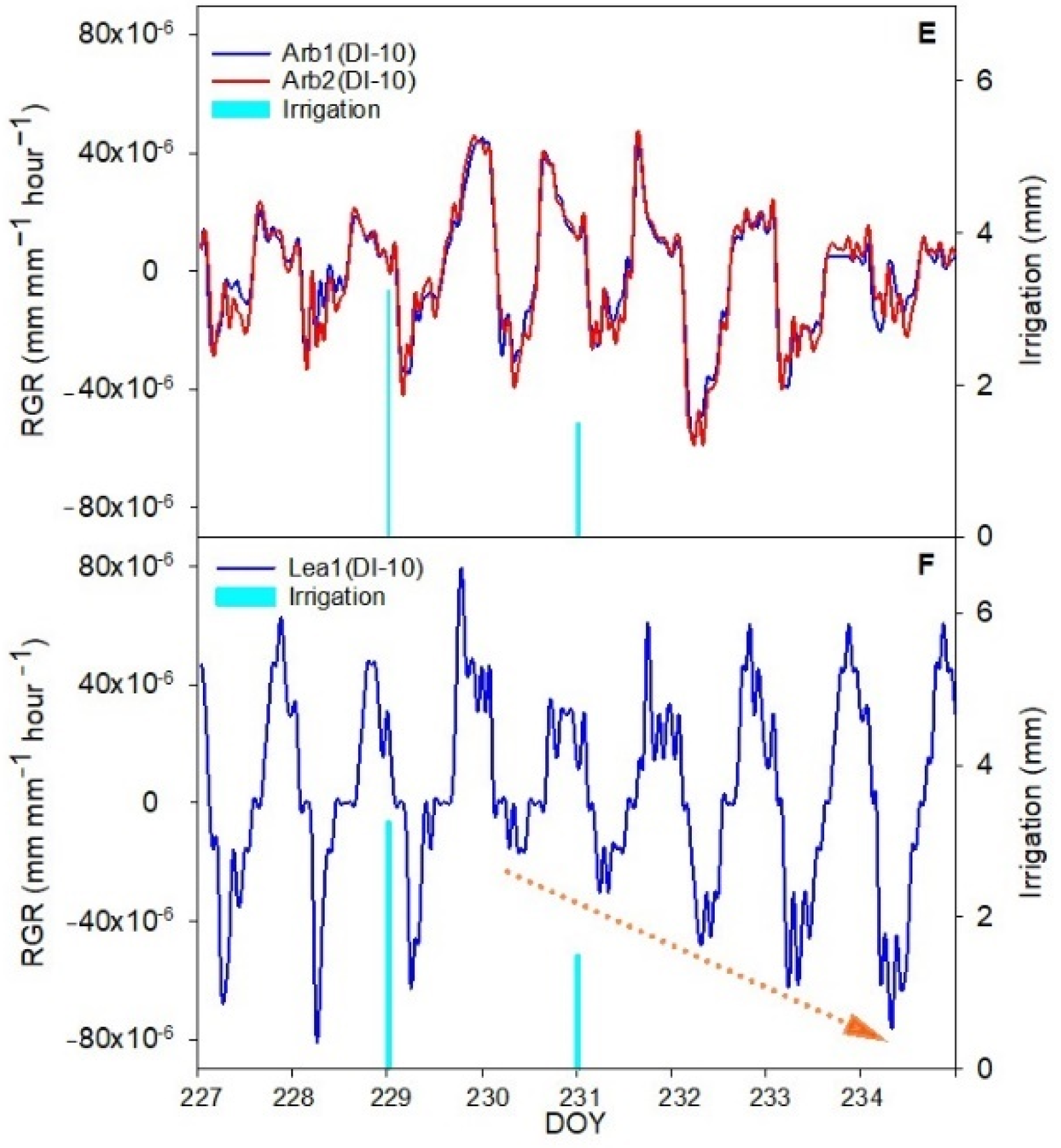Horticulturae 08 01221 g004b Horticulturae 08 01221 g004b