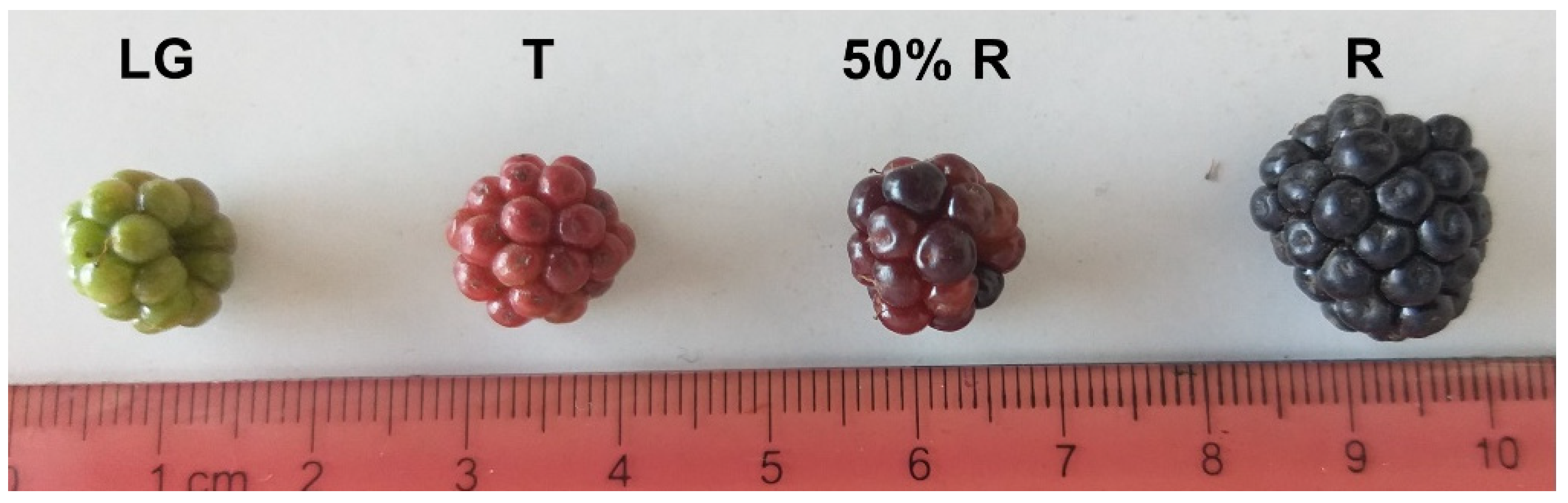 Horticulturae 09 00013 g001 Horticulturae 09 00013 g001