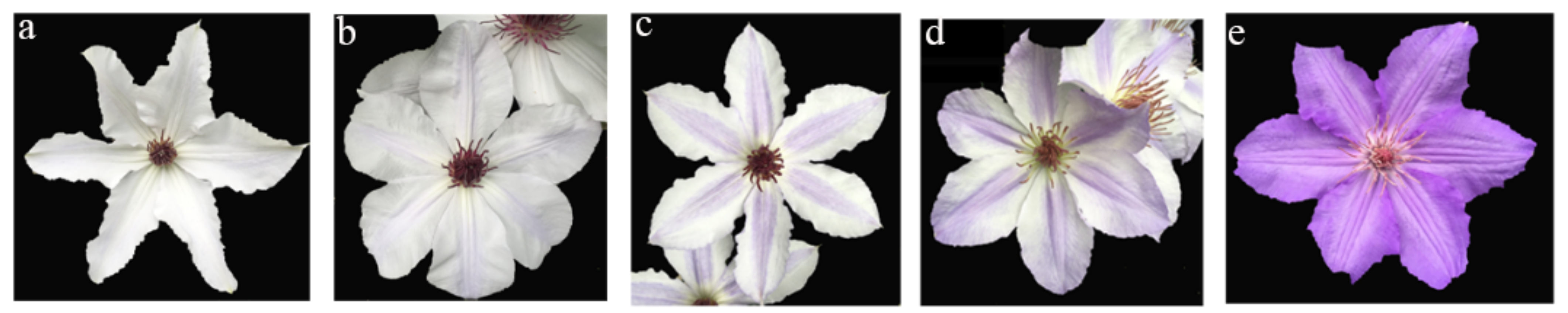 Horticulturae 09 00014 g001 Horticulturae 09 00014 g001