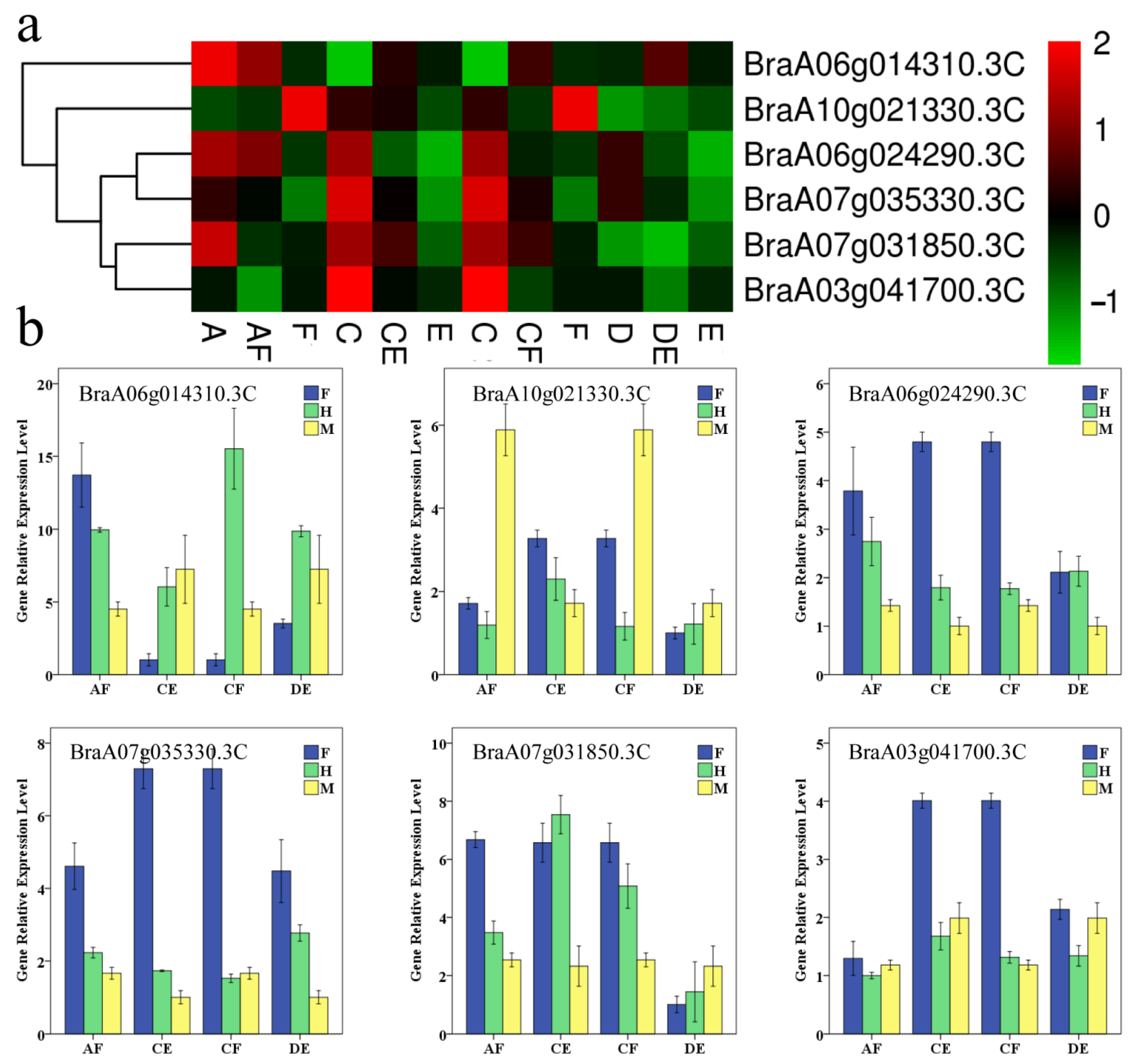 Horticulturae 09 00017 g007 Horticulturae 09 00017 g007