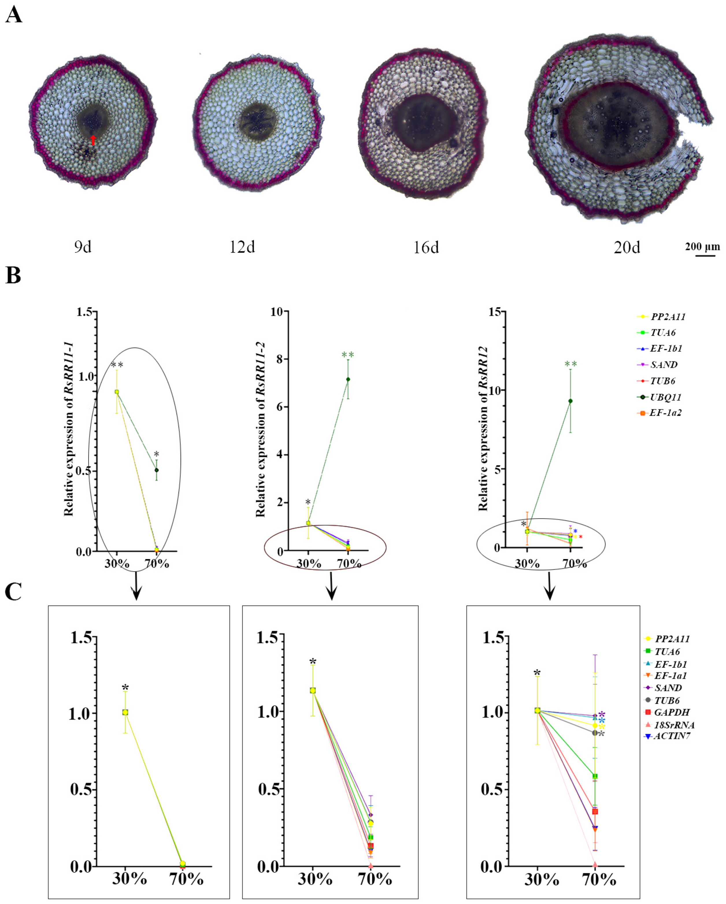 Horticulturae 09 00020 g004